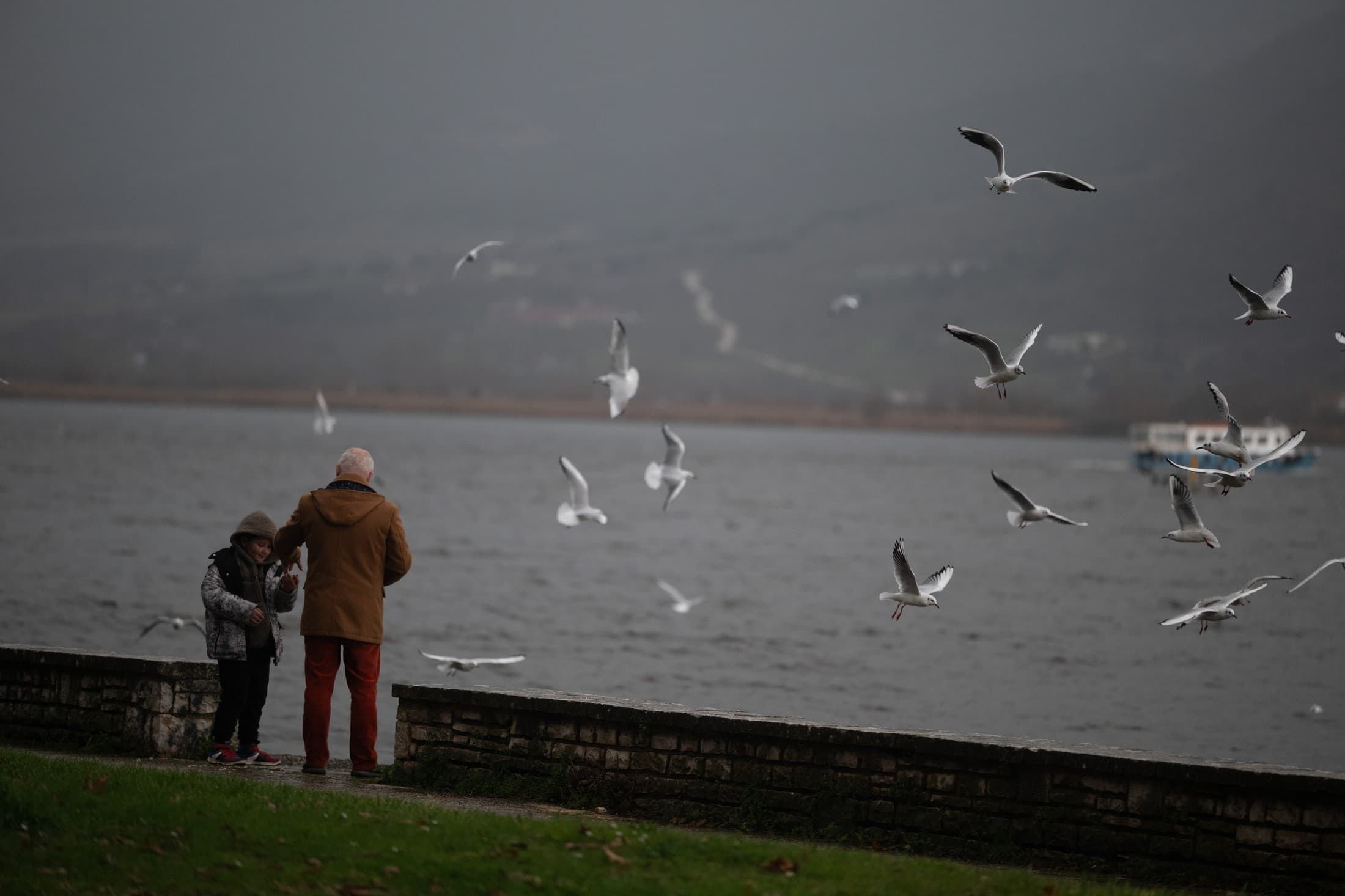 Alt text not provided