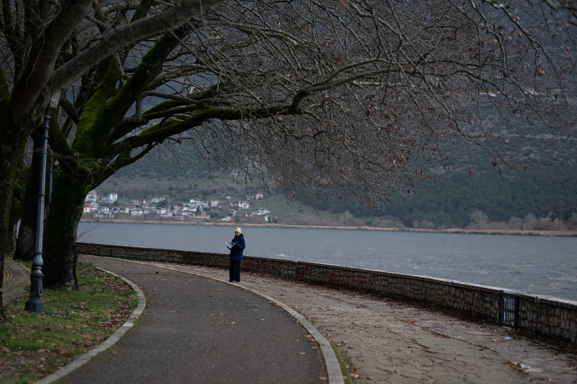 Alt text not provided