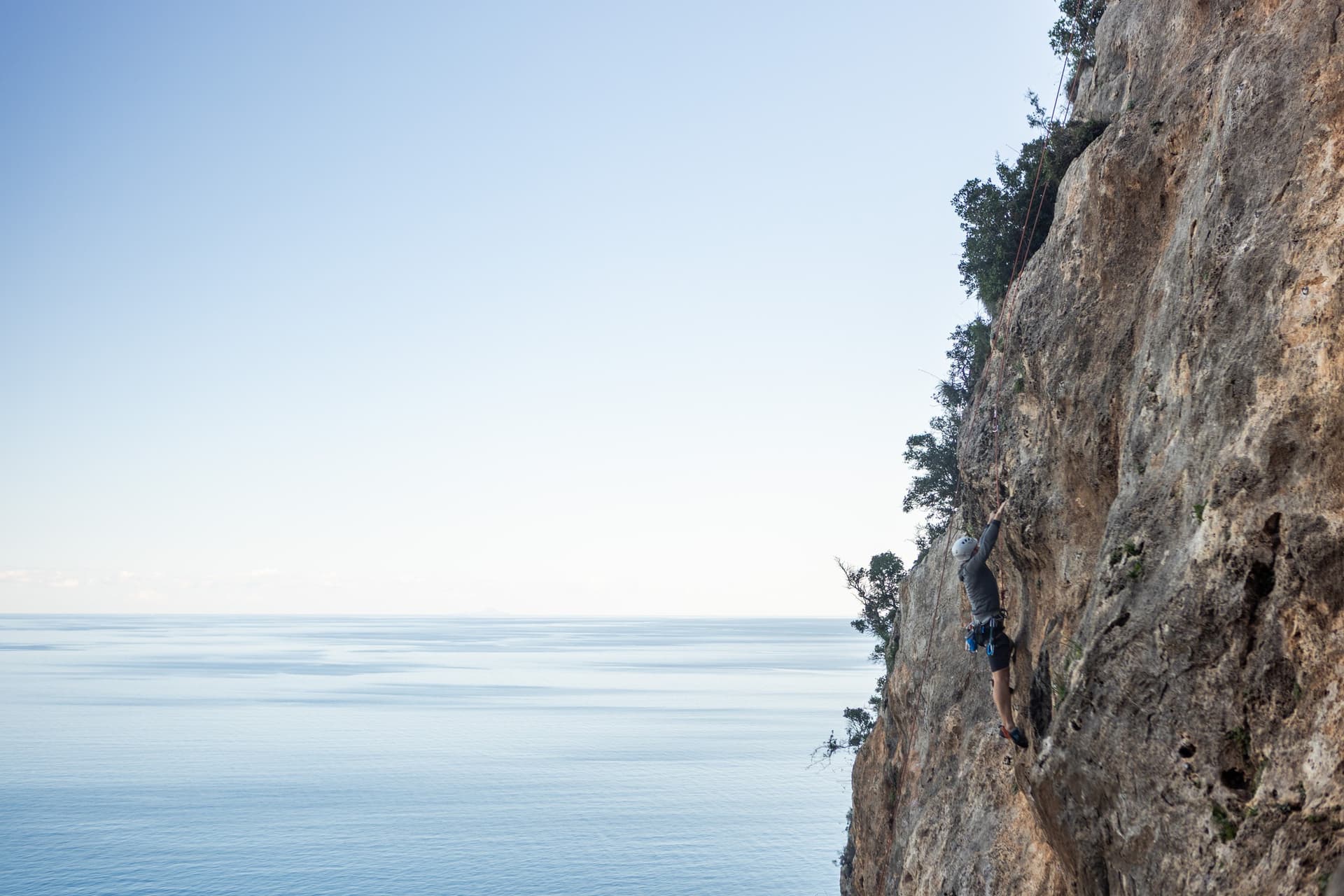 Alt text not provided