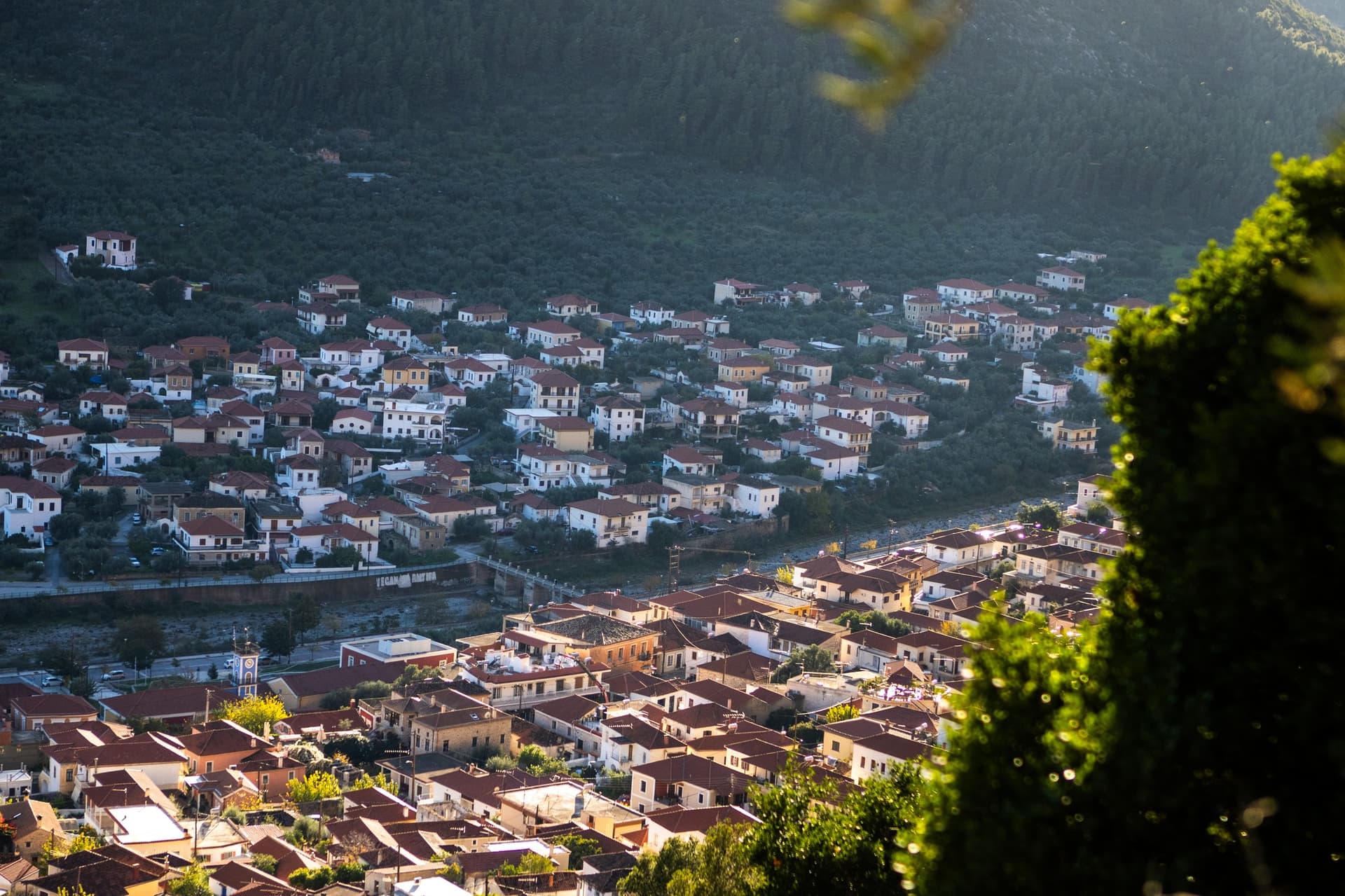 Alt text not provided