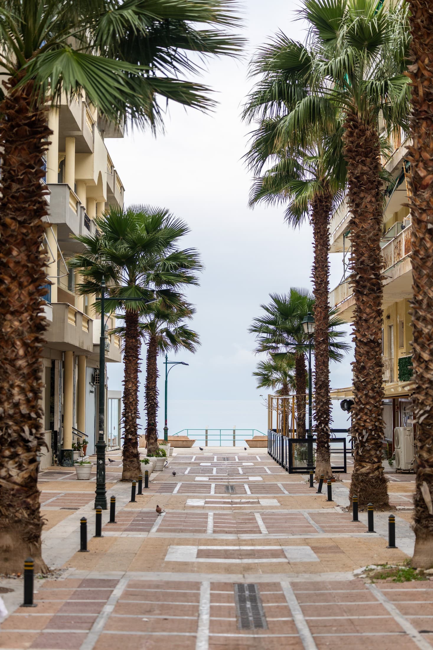 Alt text not provided