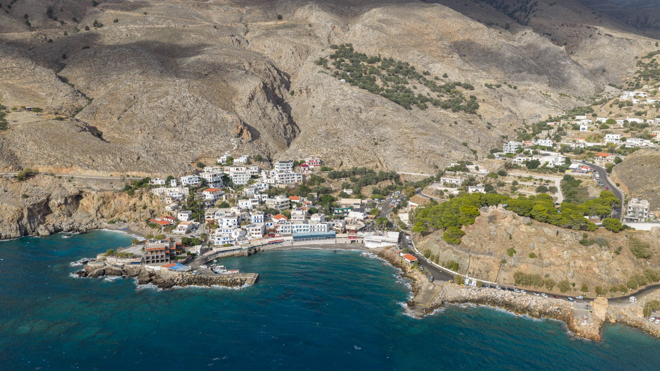 Alt text not provided