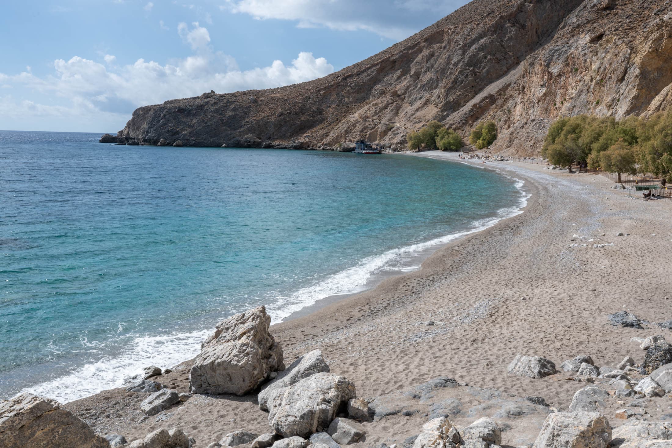 Alt text not provided