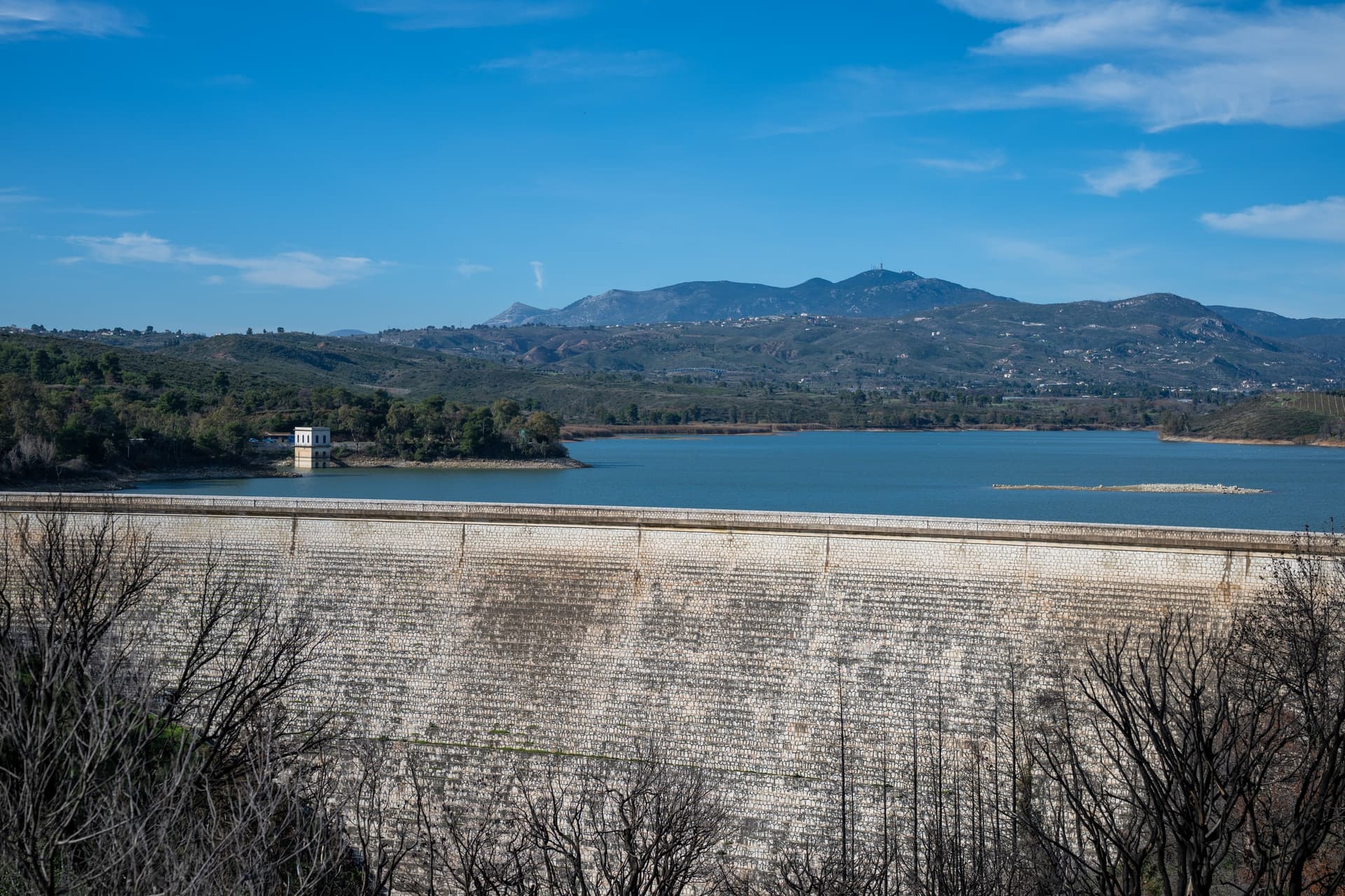 Alt text not provided