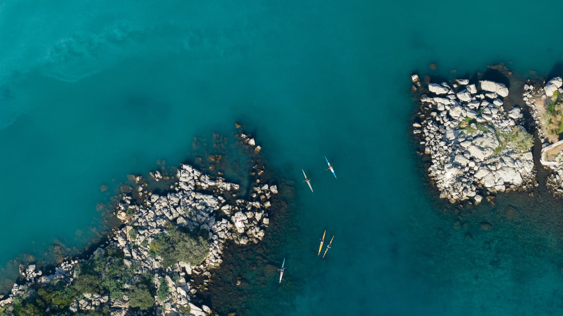 Alt text not provided