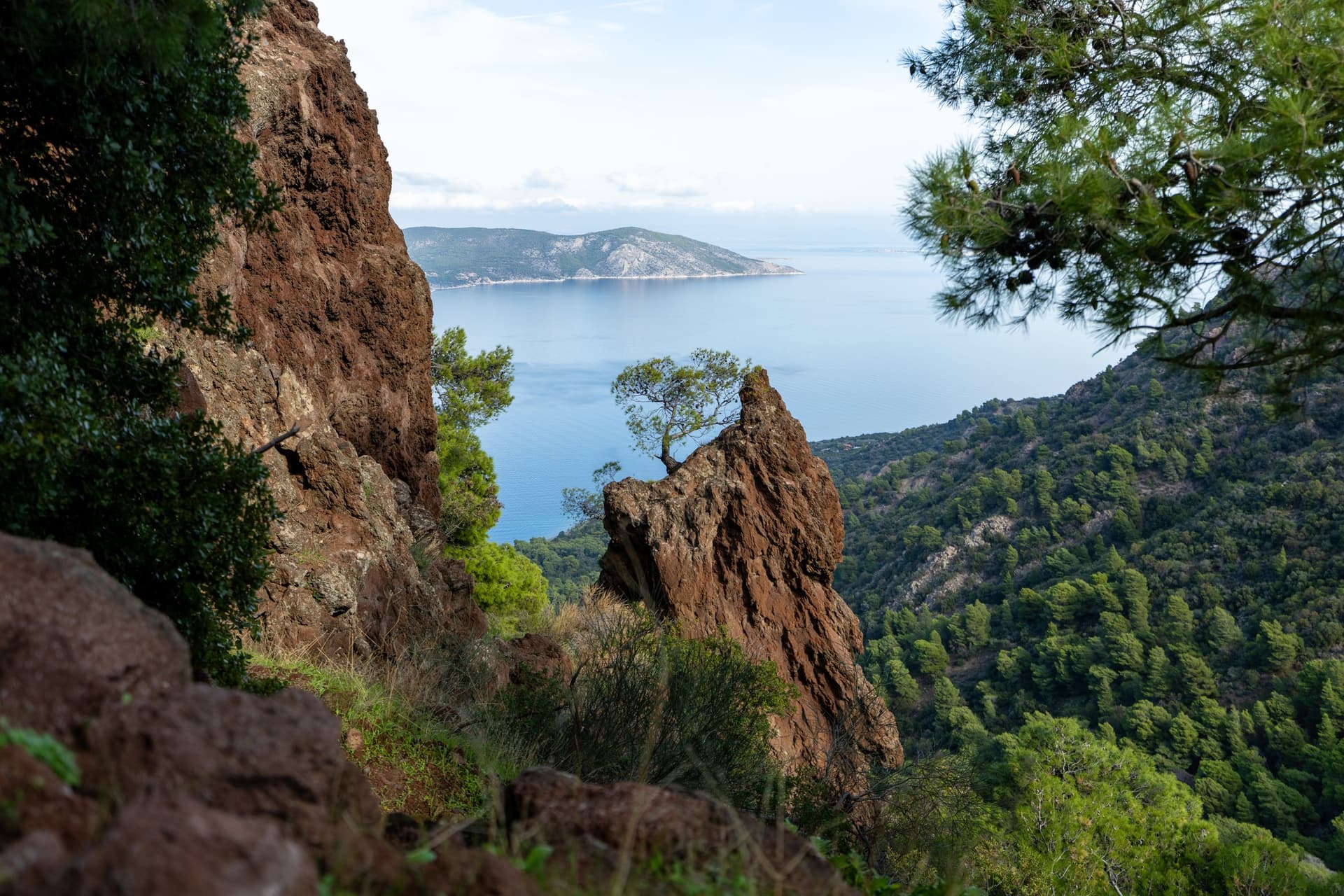 Alt text not provided