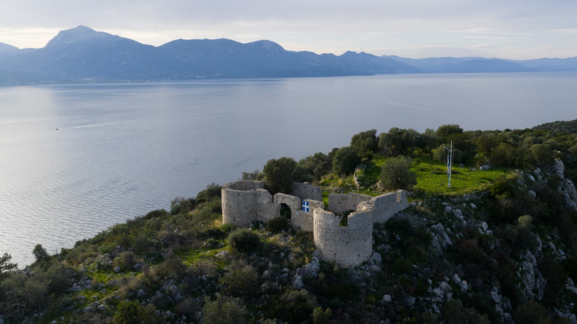 Alt text not provided