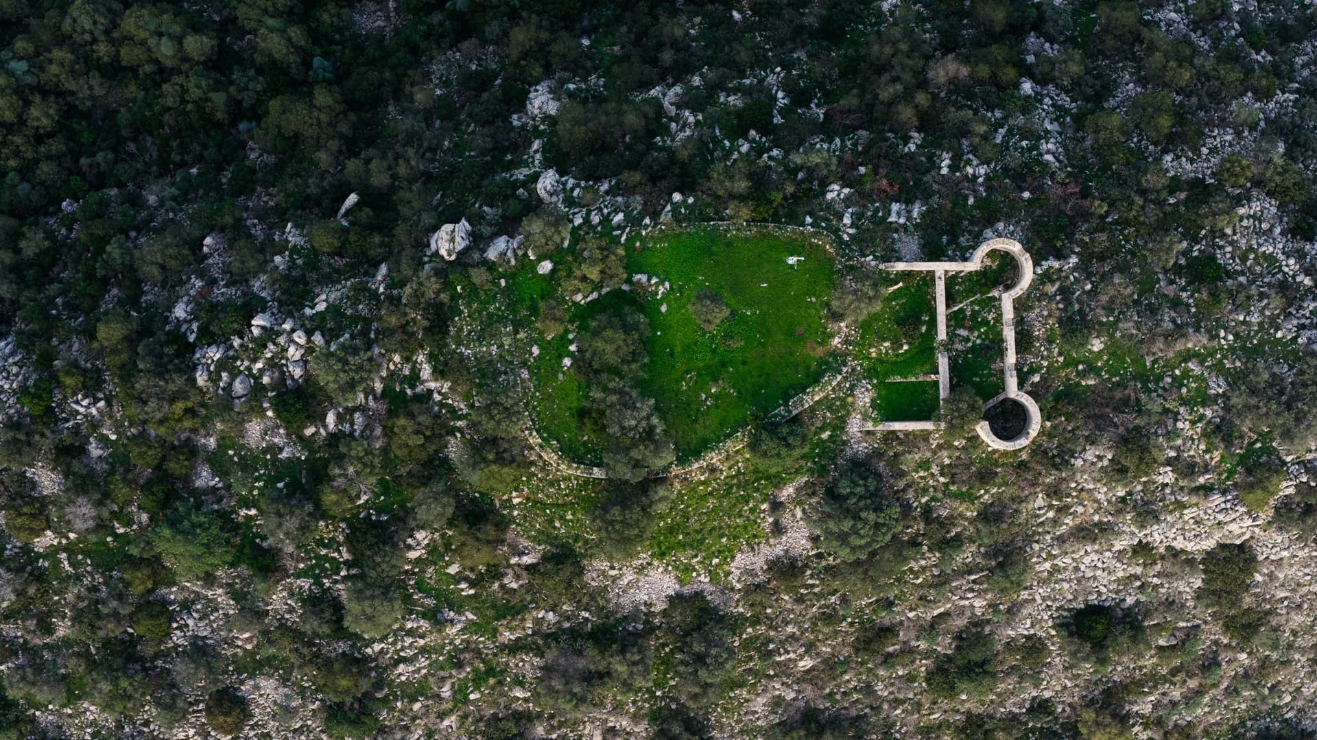 Alt text not provided