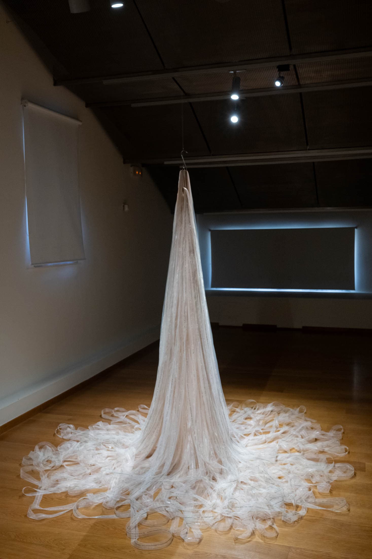 Alt text not provided