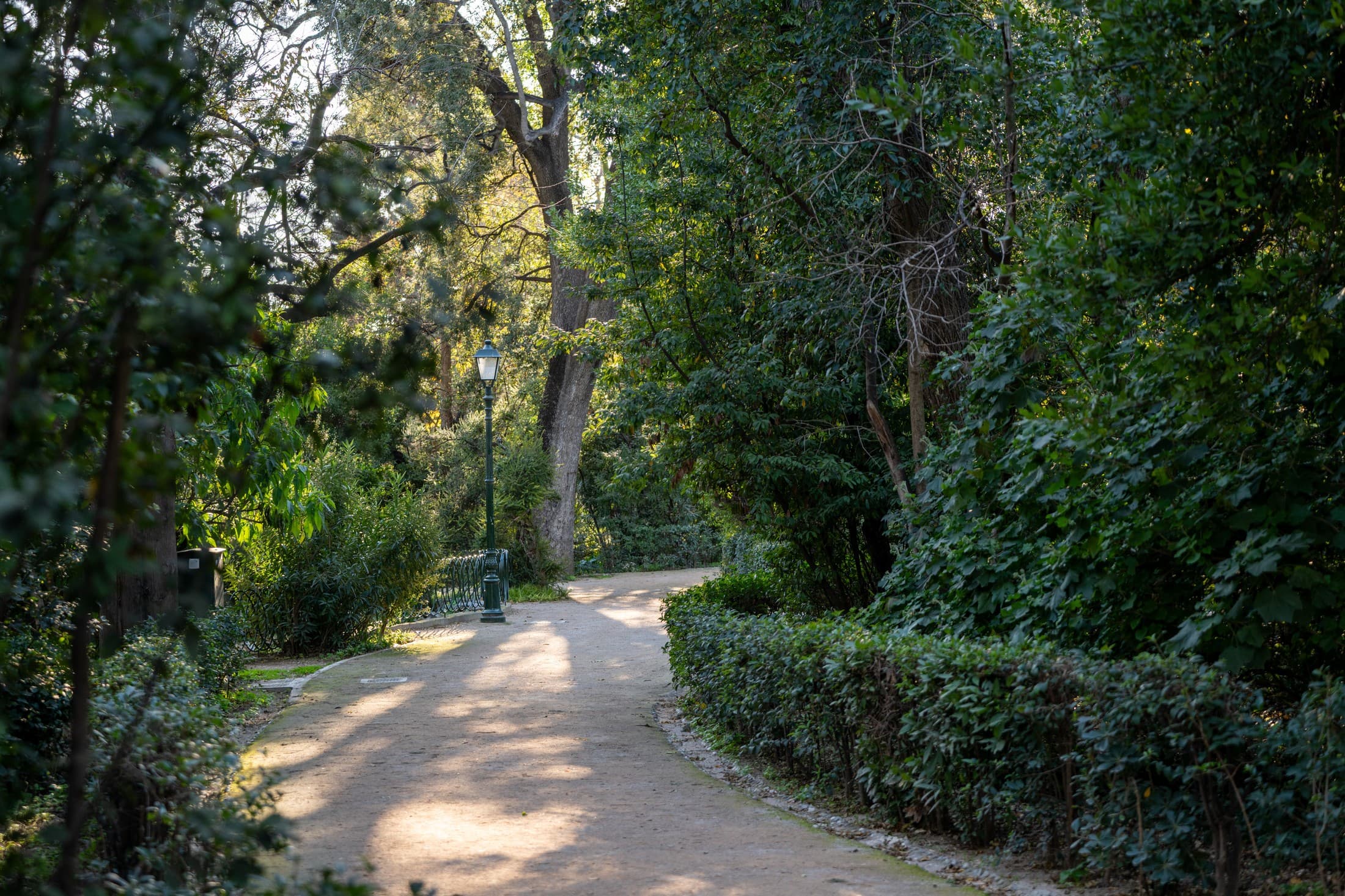 Alt text not provided