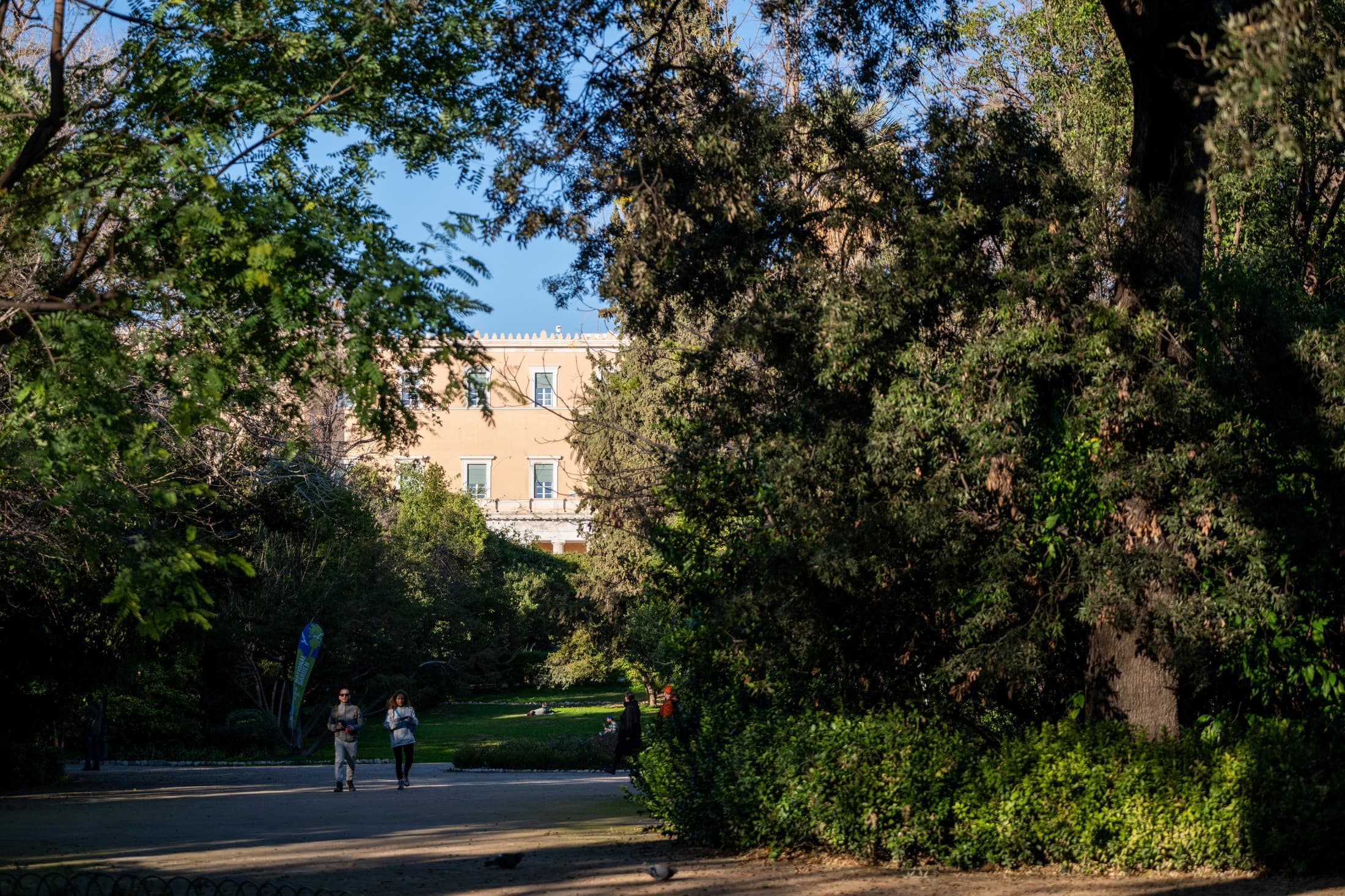 Alt text not provided