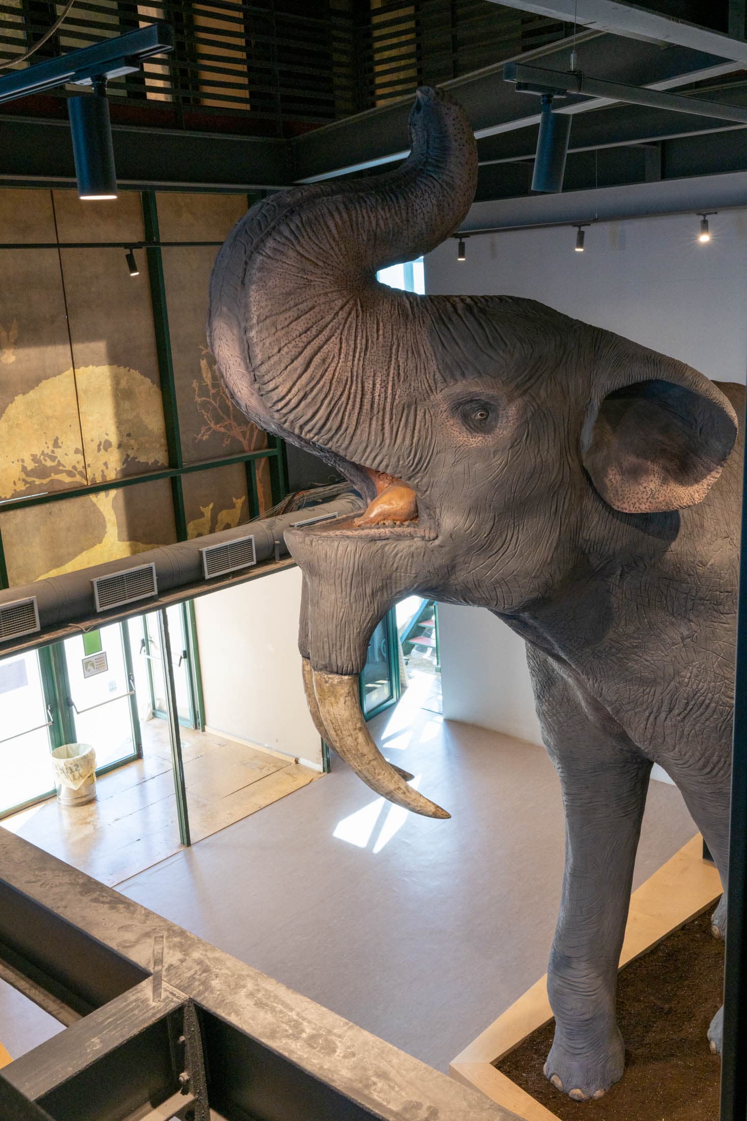 Alt text not provided