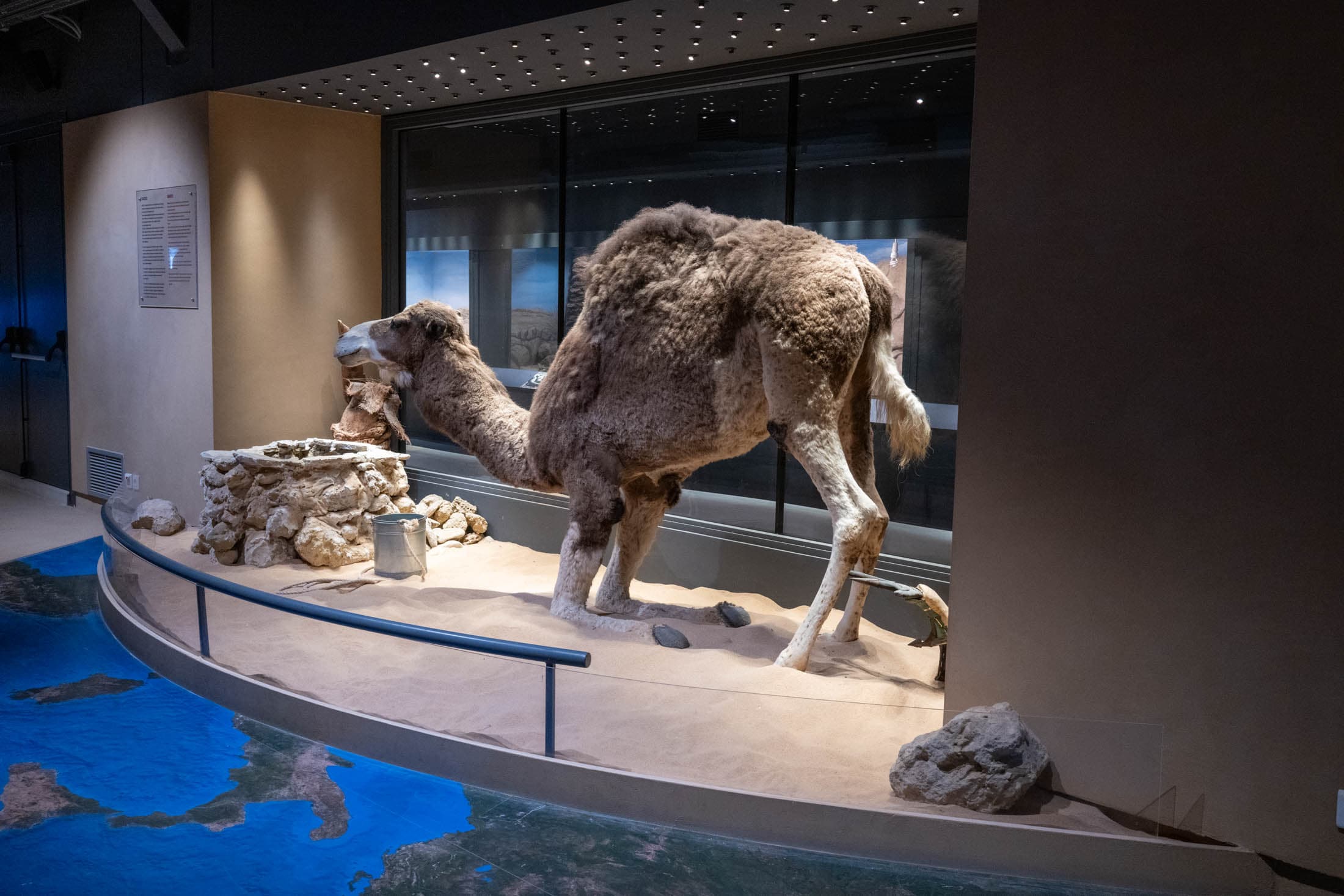 Alt text not provided