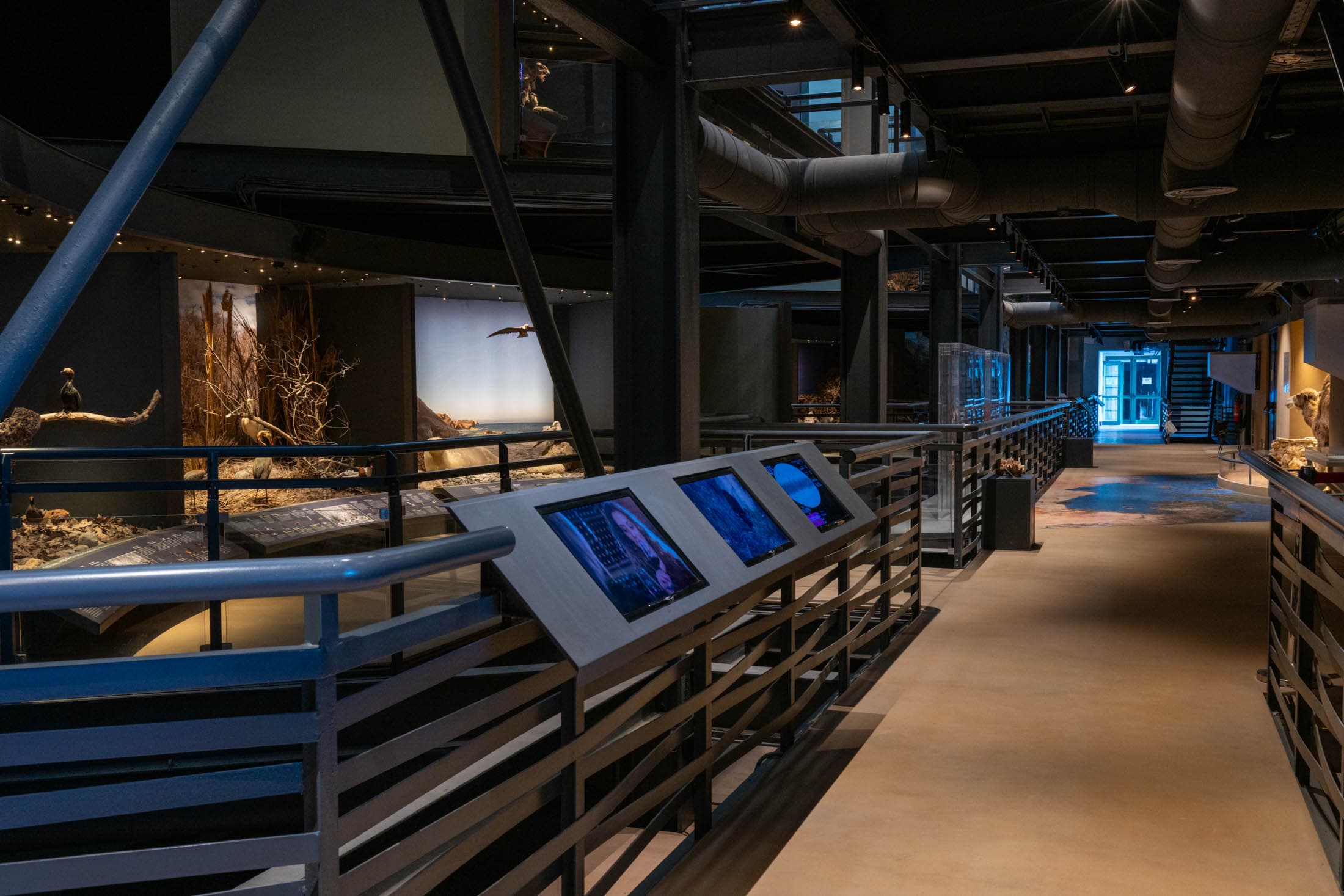 Alt text not provided