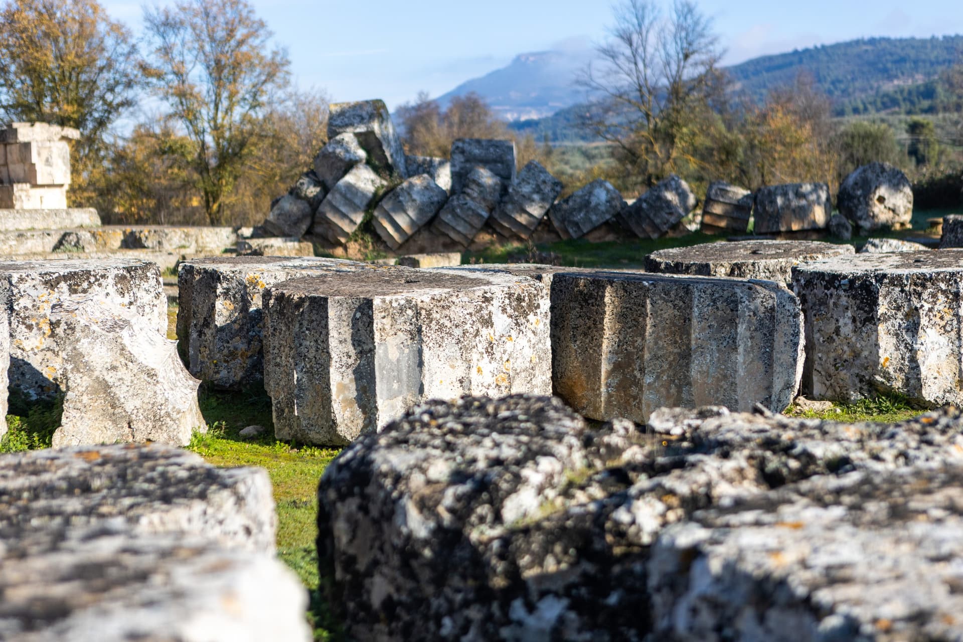 Alt text not provided