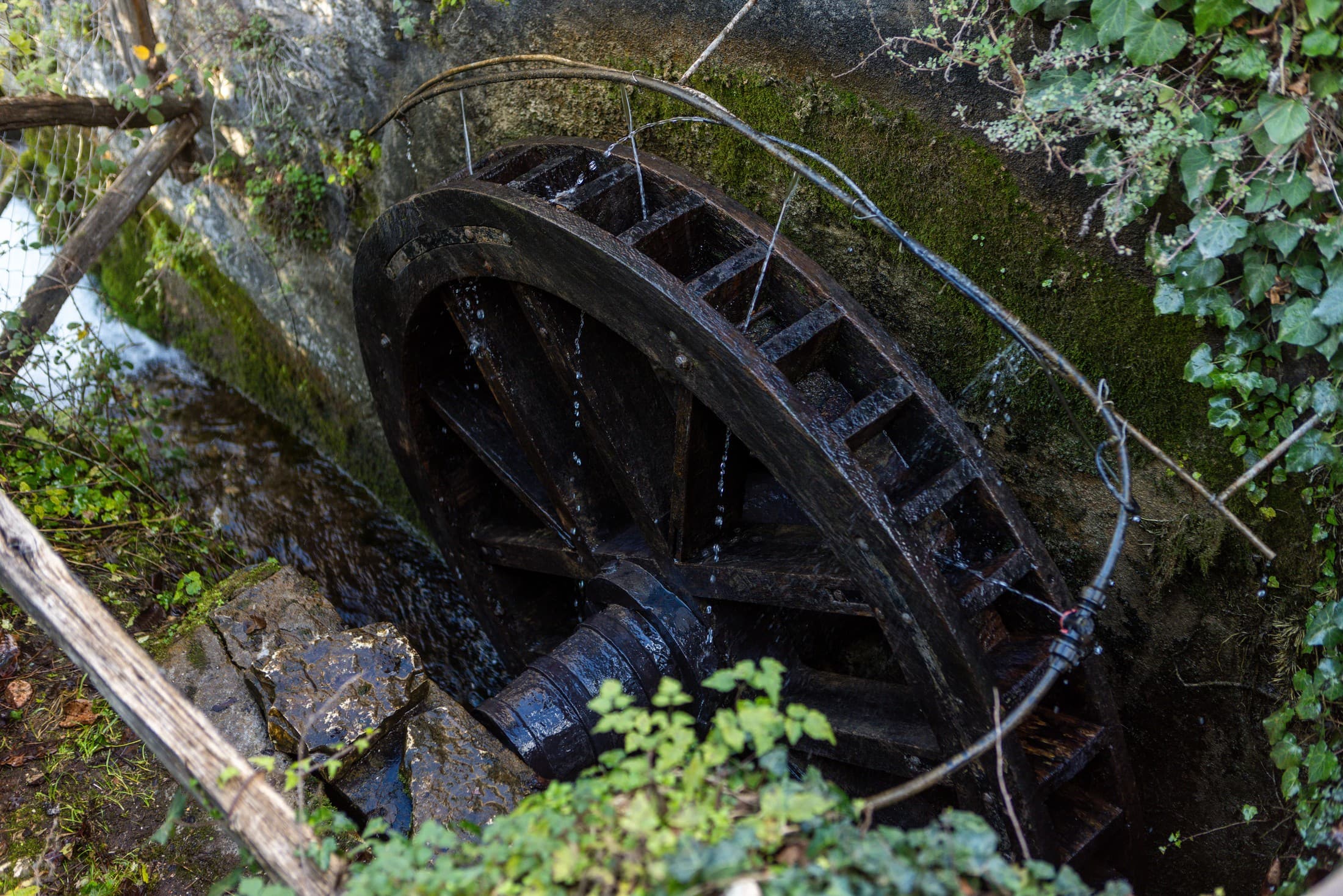 Alt text not provided