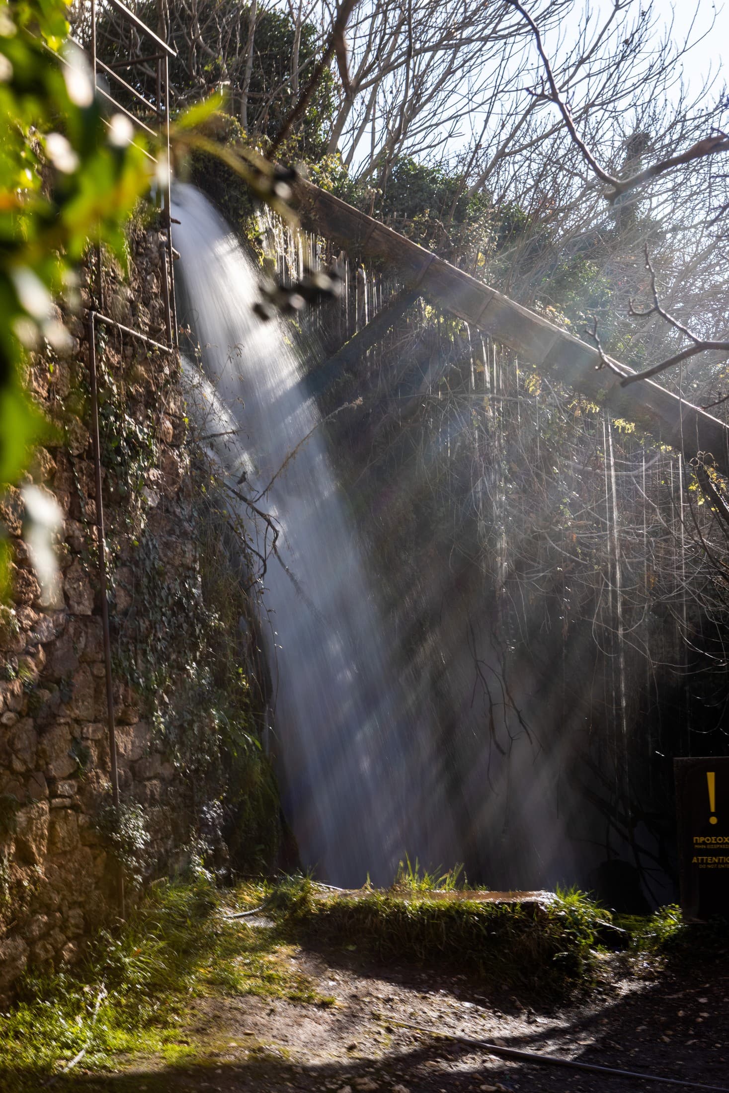 Alt text not provided