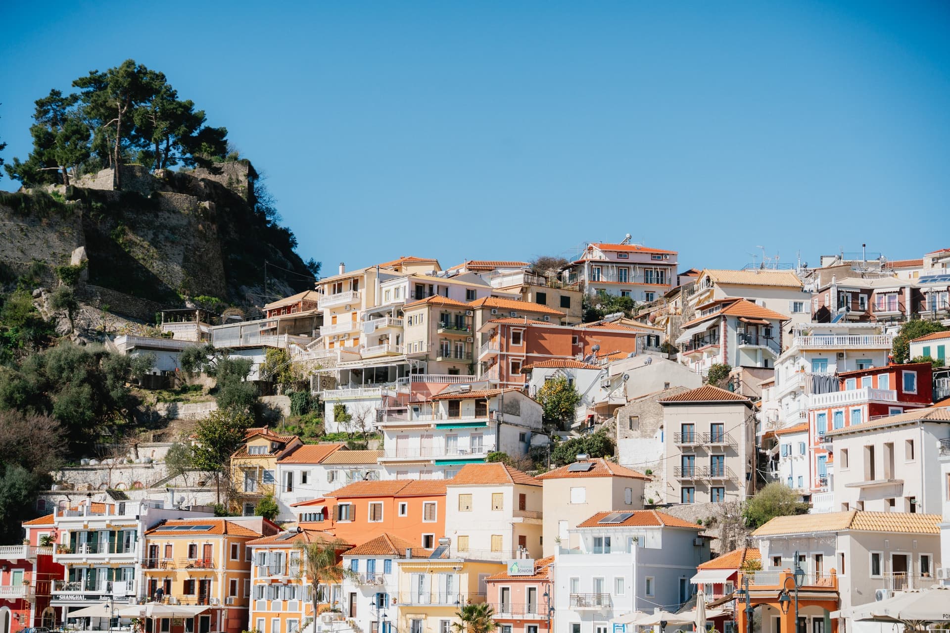 Alt text not provided