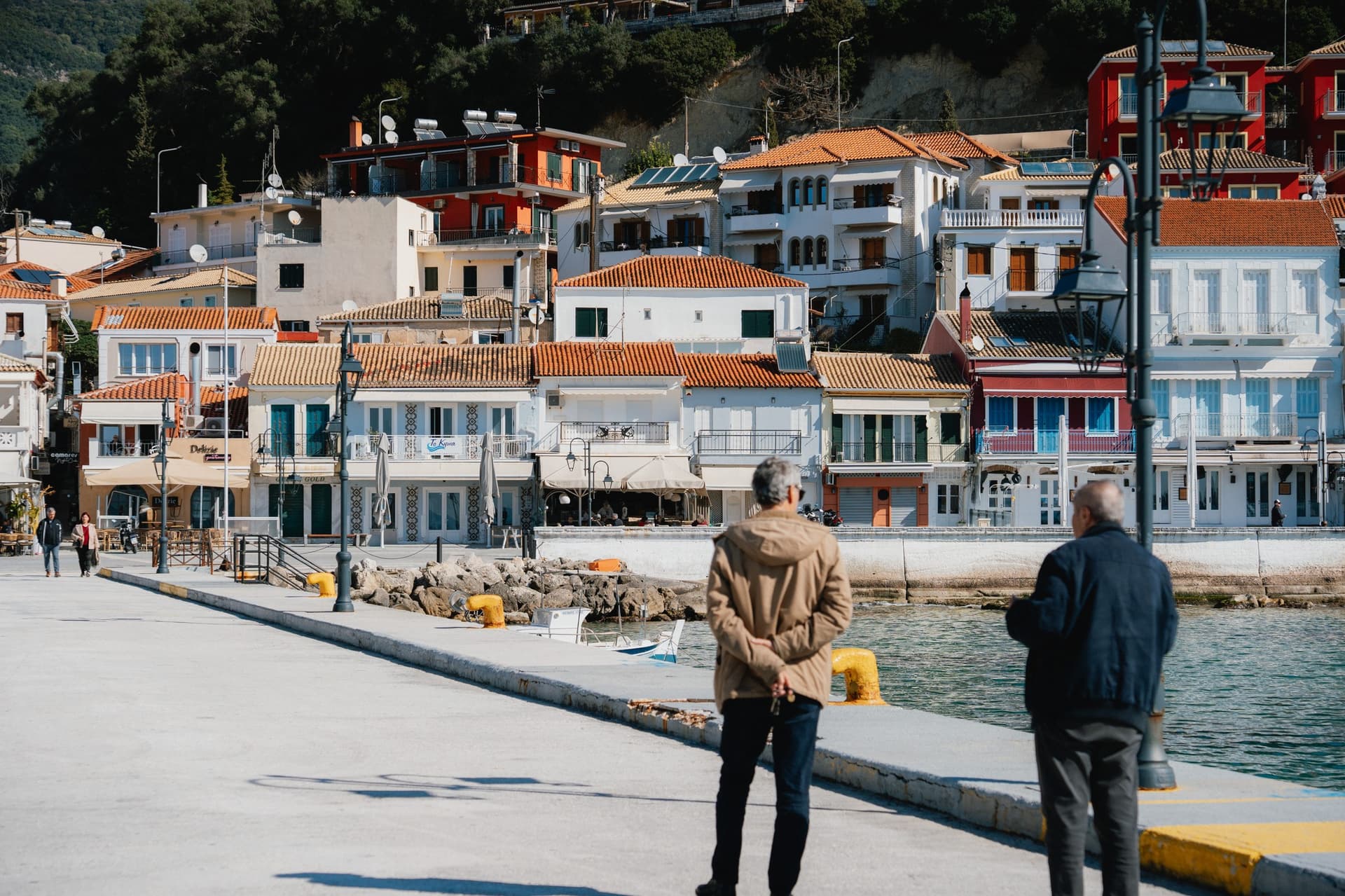 Alt text not provided