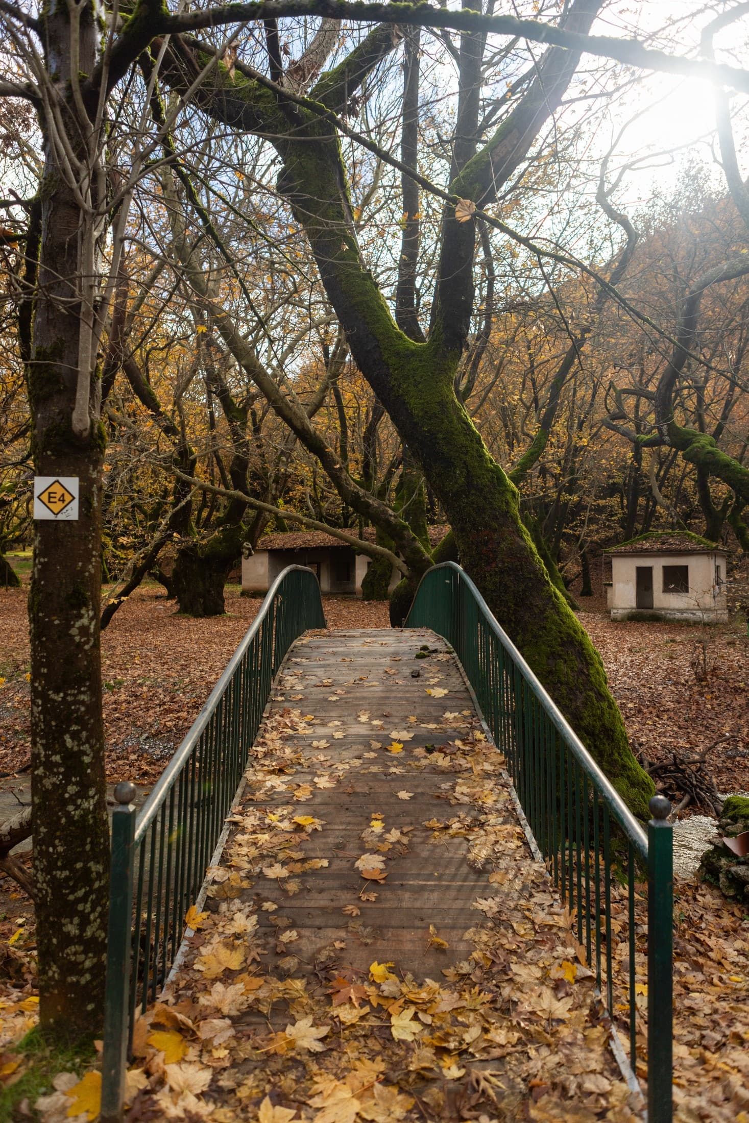 Alt text not provided