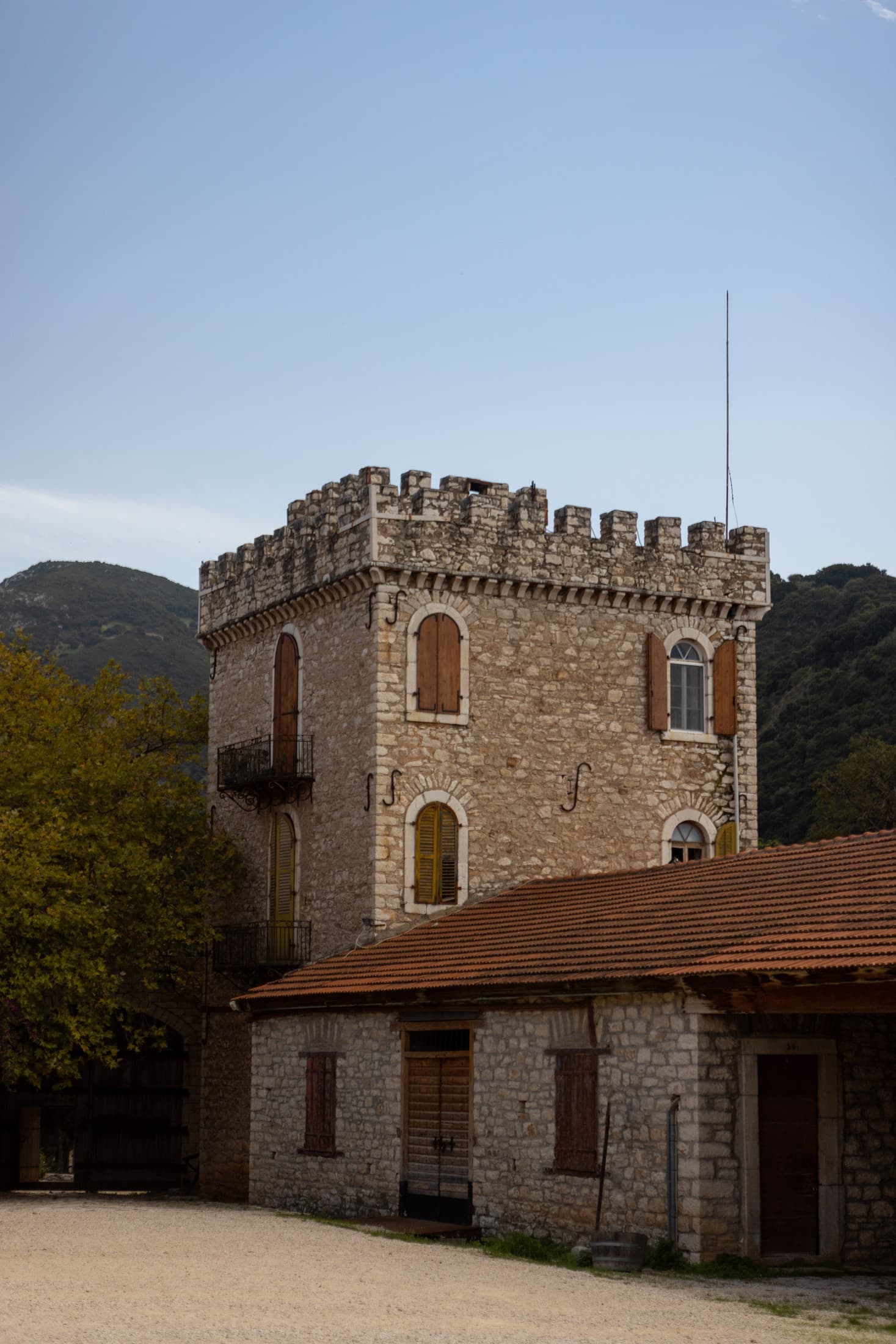 Alt text not provided