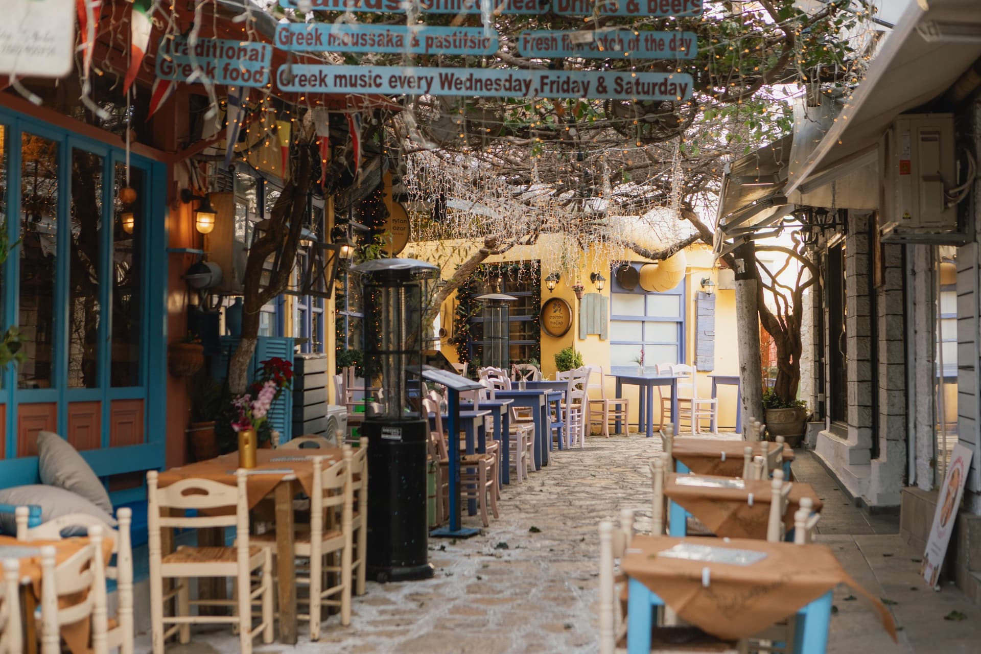 Alt text not provided