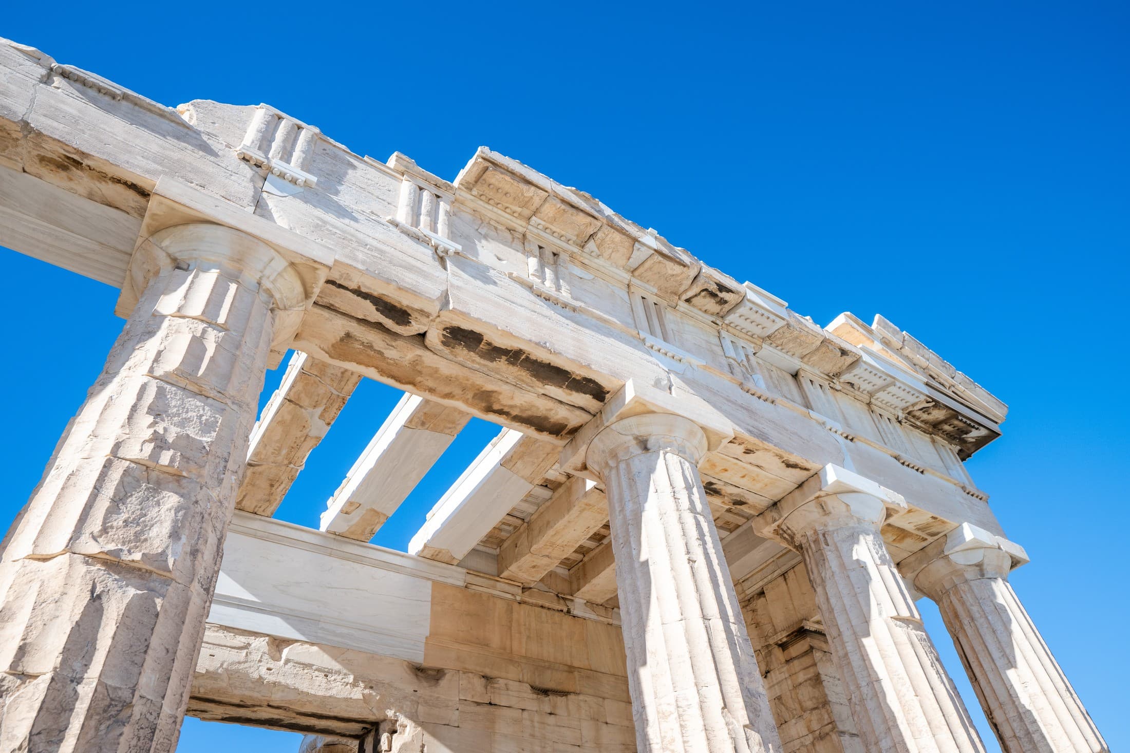 Alt text not provided