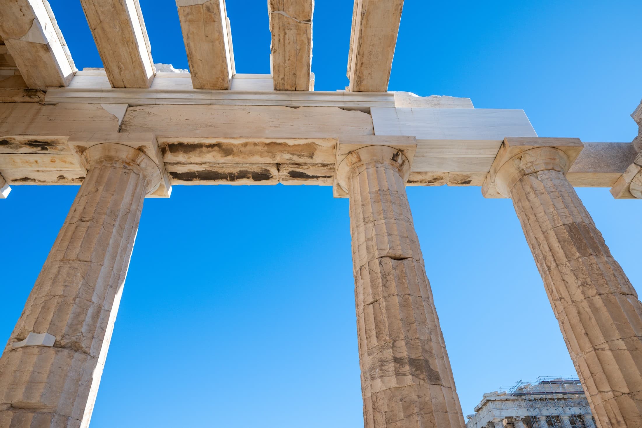 Alt text not provided