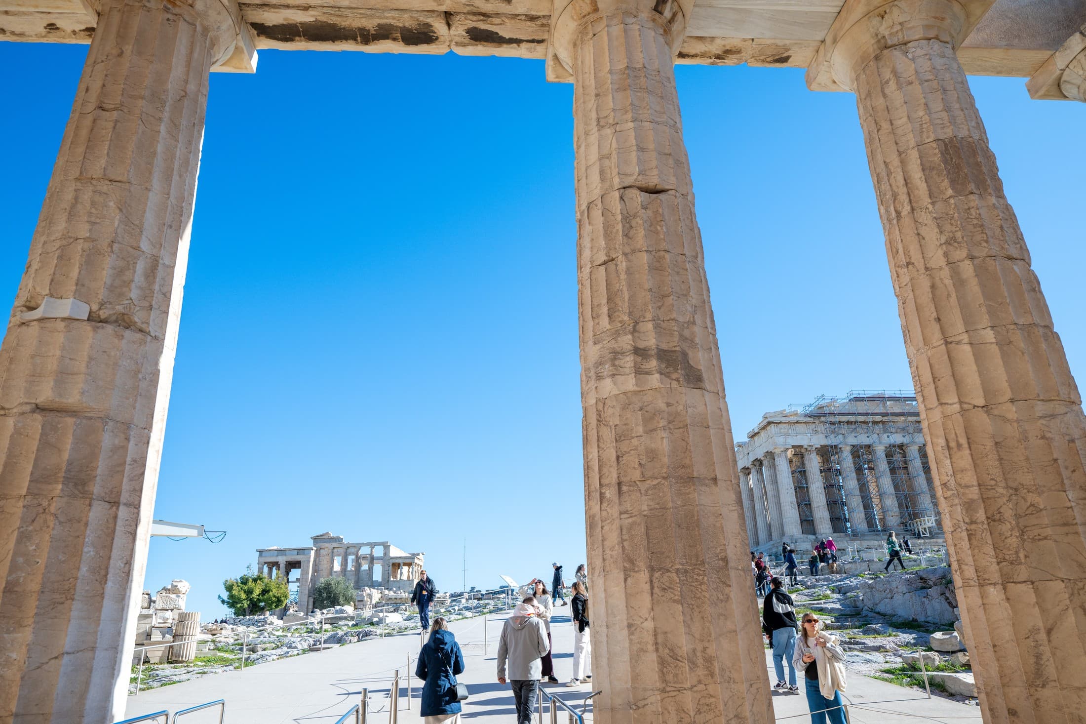 Alt text not provided