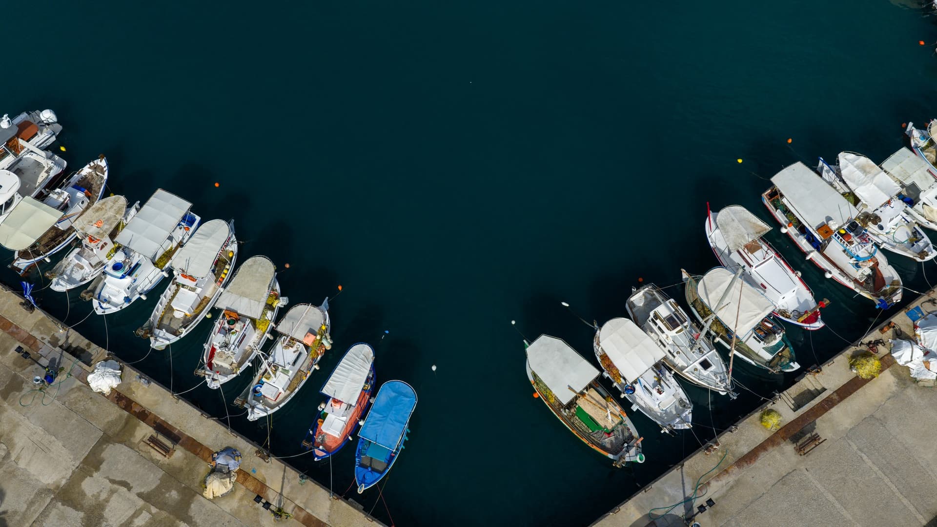 Alt text not provided