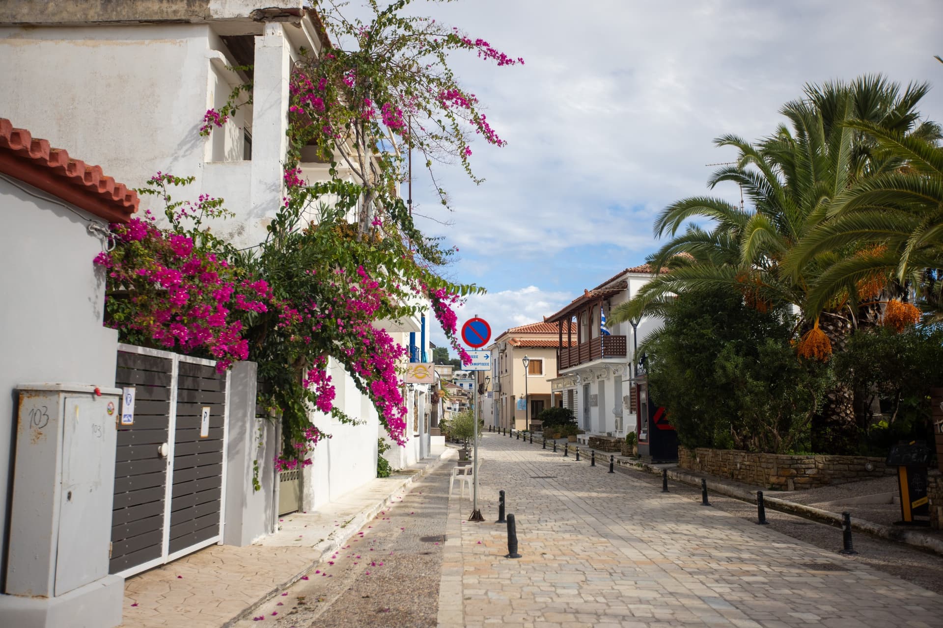 Alt text not provided