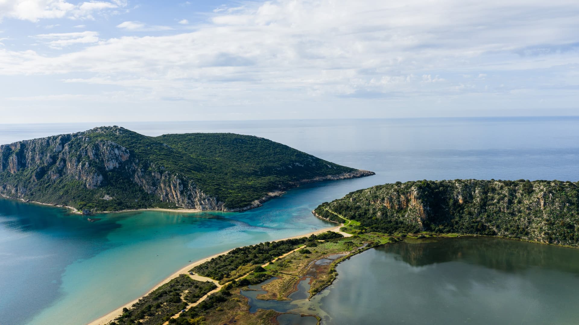 Alt text not provided