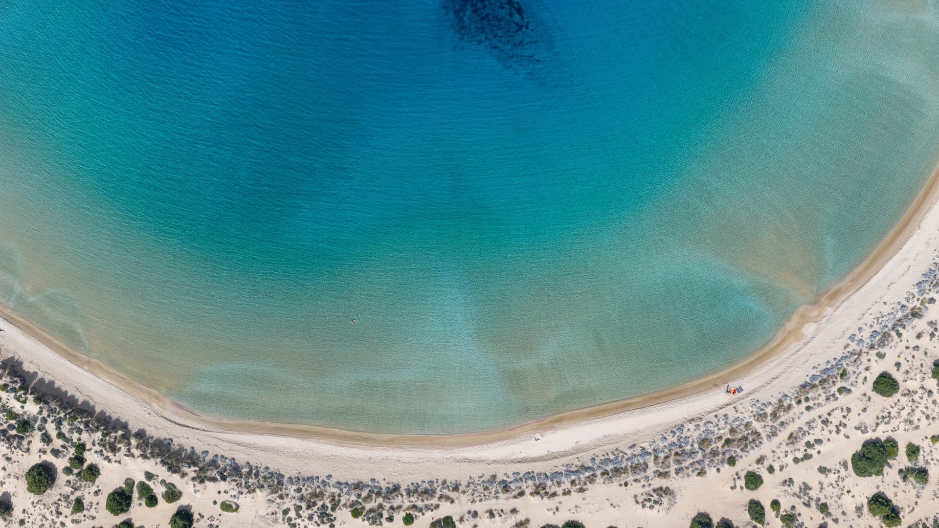 Alt text not provided