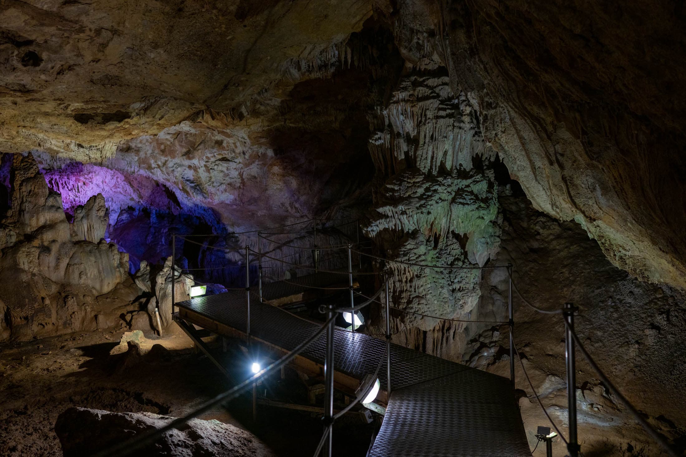 Alt text not provided