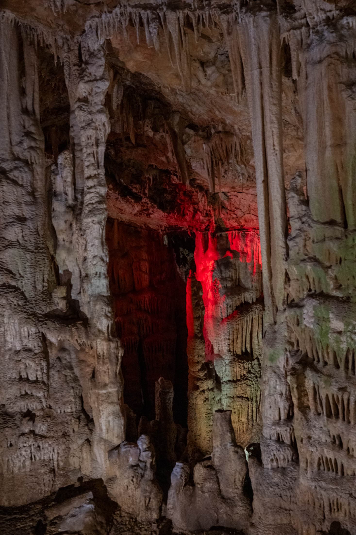 Alt text not provided