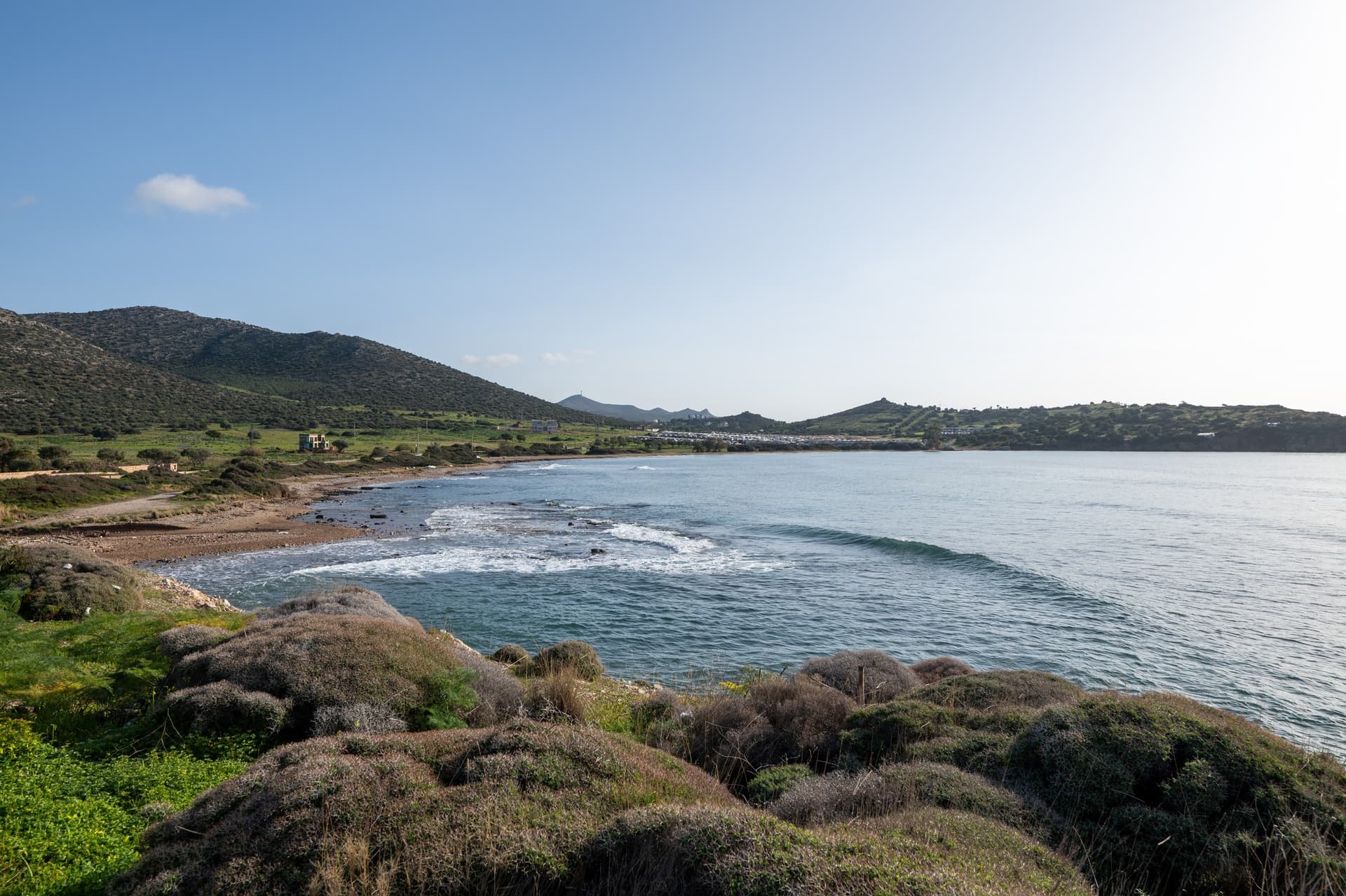 Alt text not provided