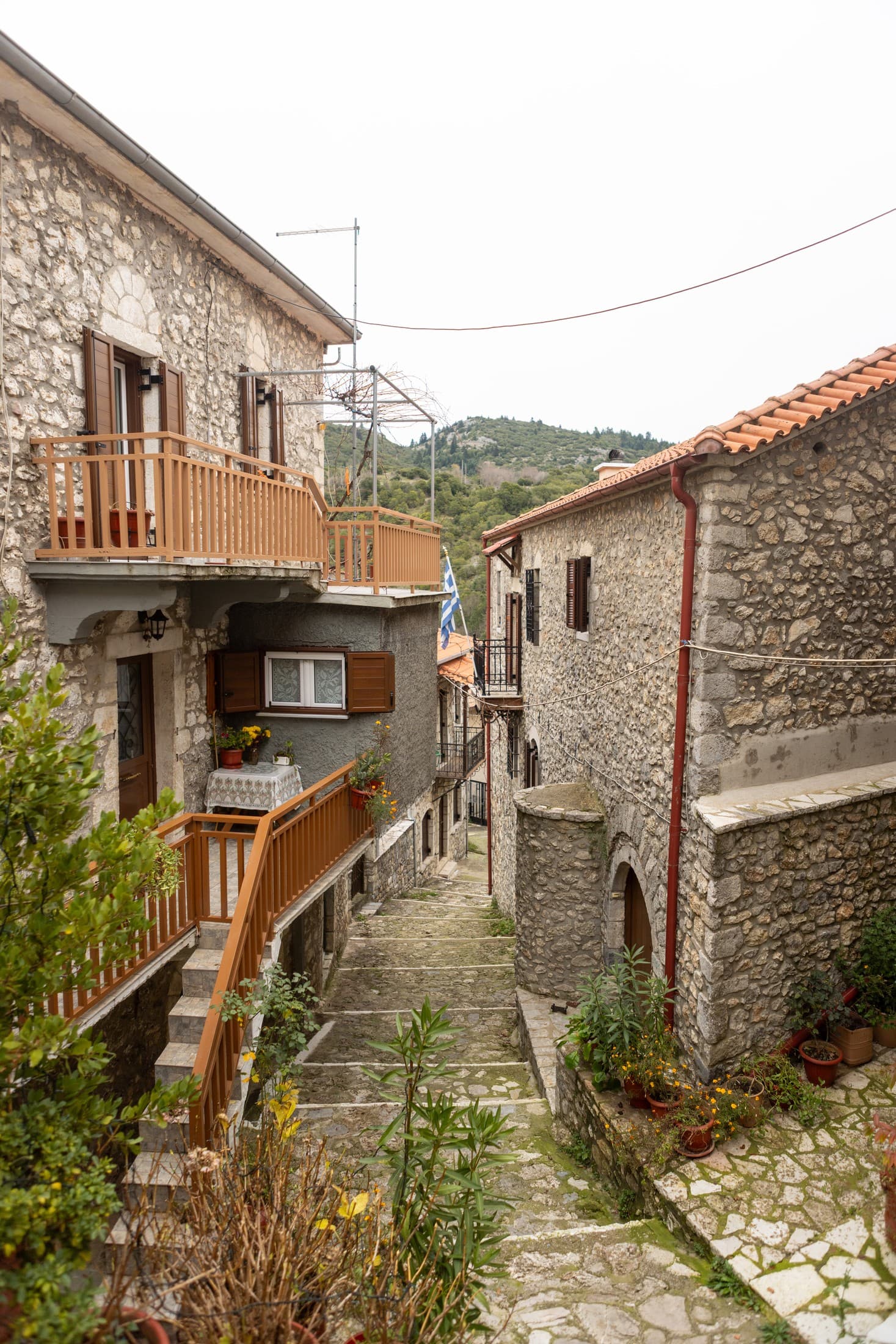 Alt text not provided