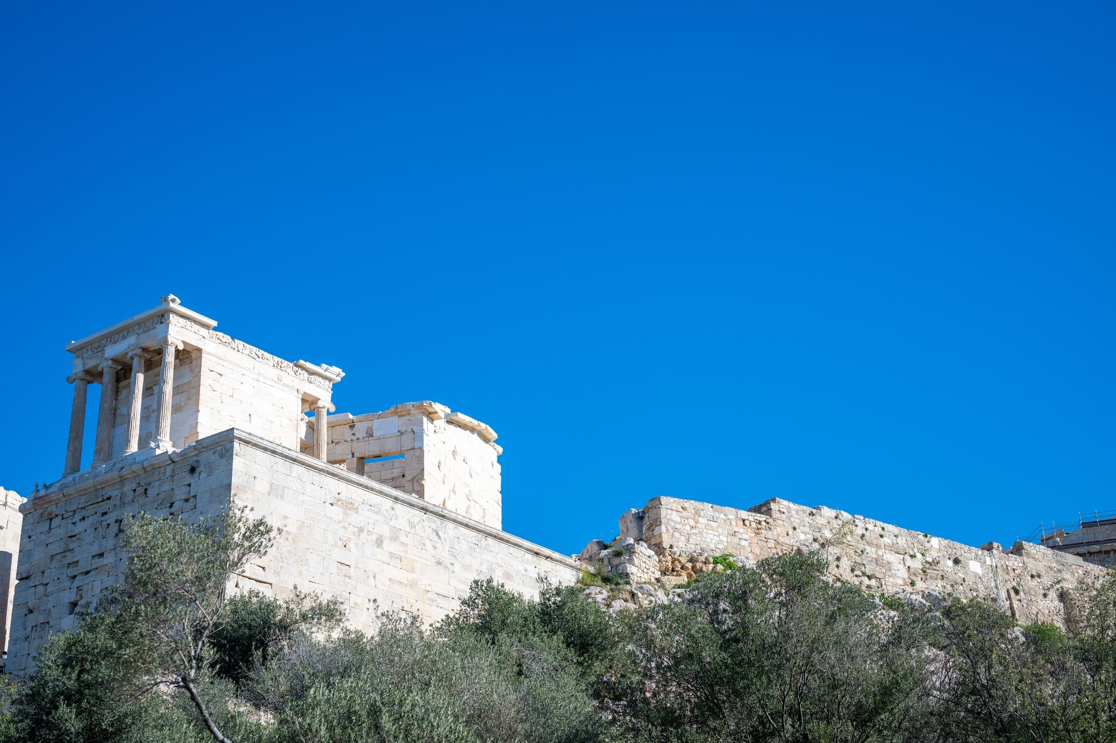 Alt text not provided