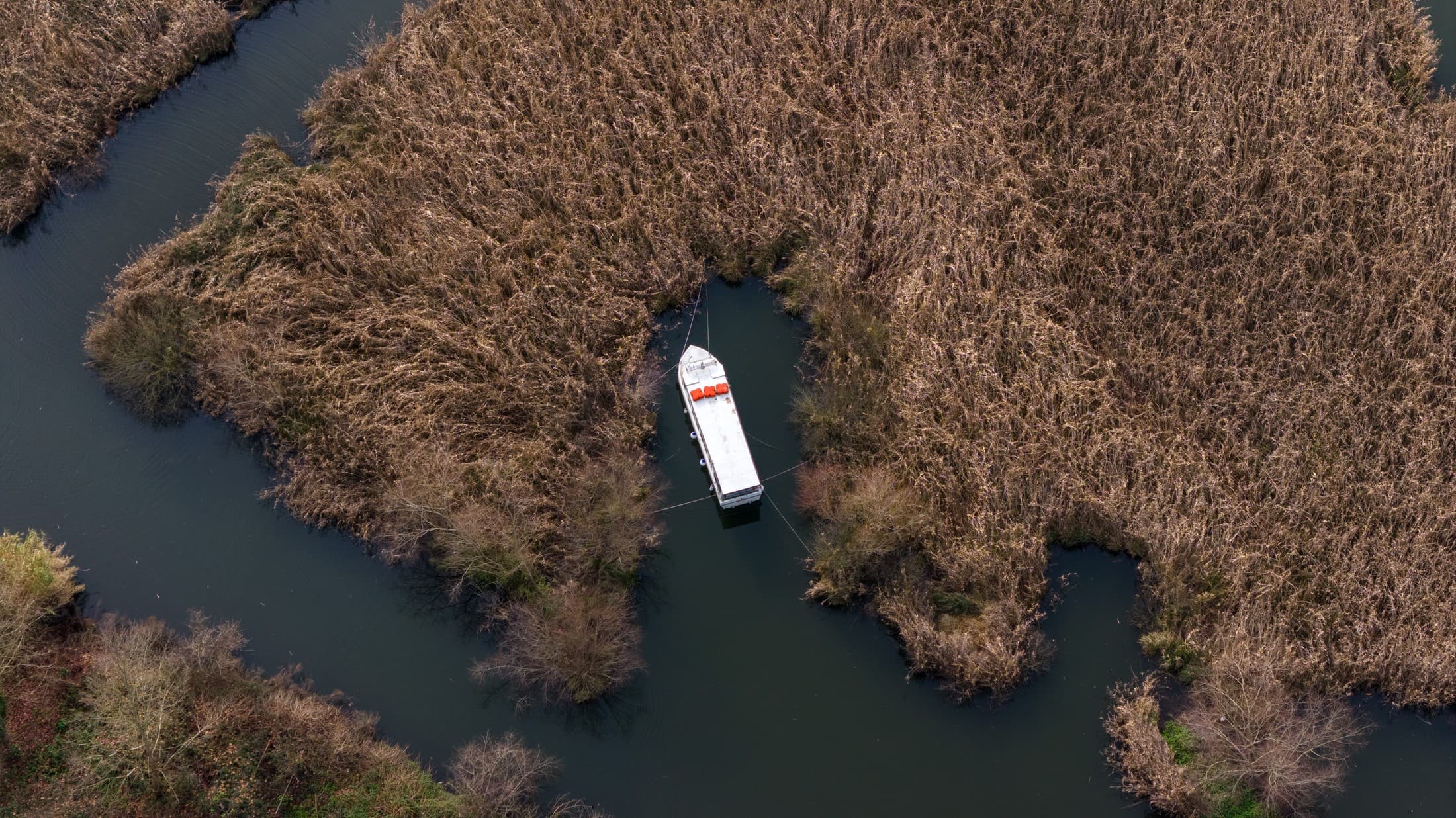 Alt text not provided