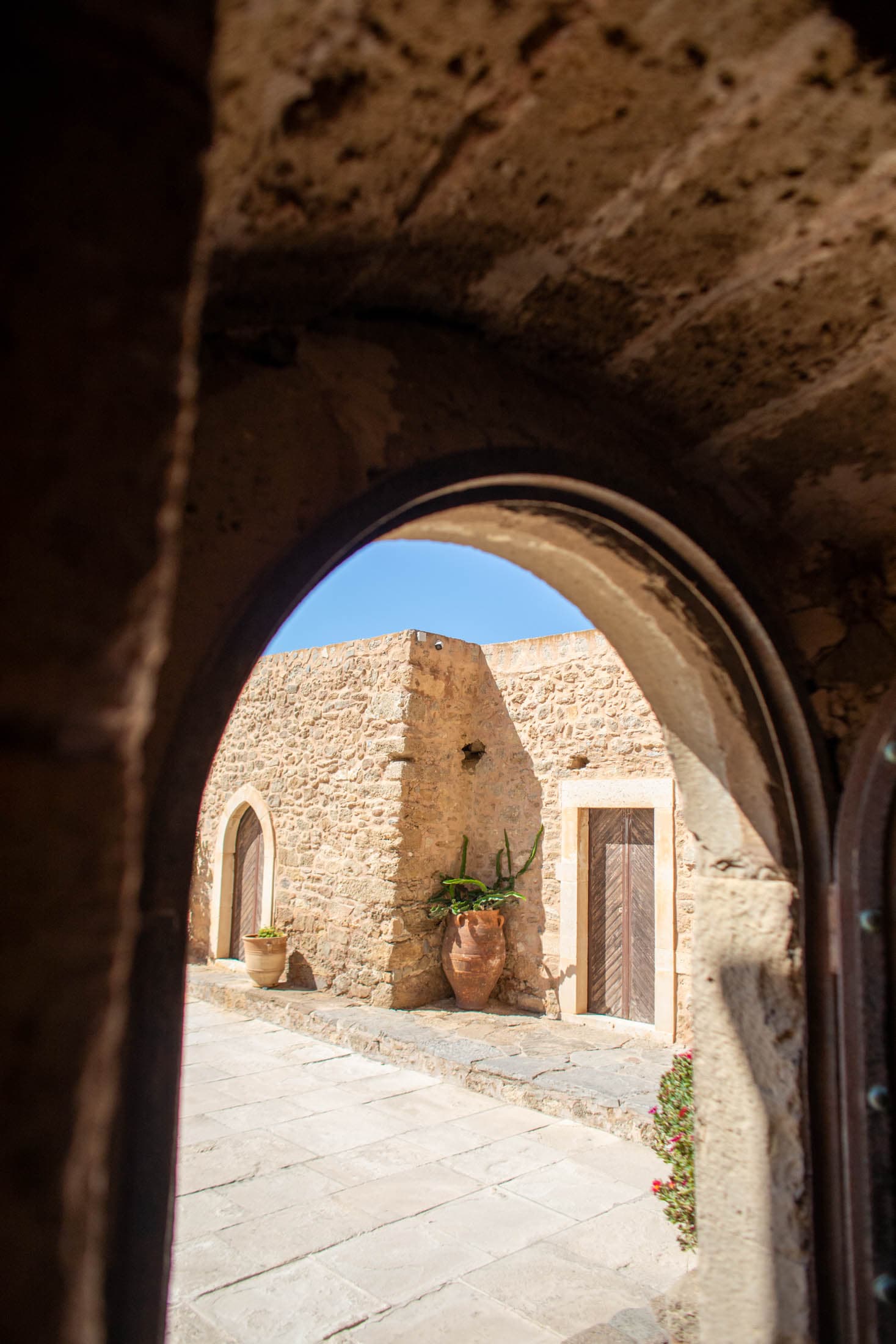 Alt text not provided