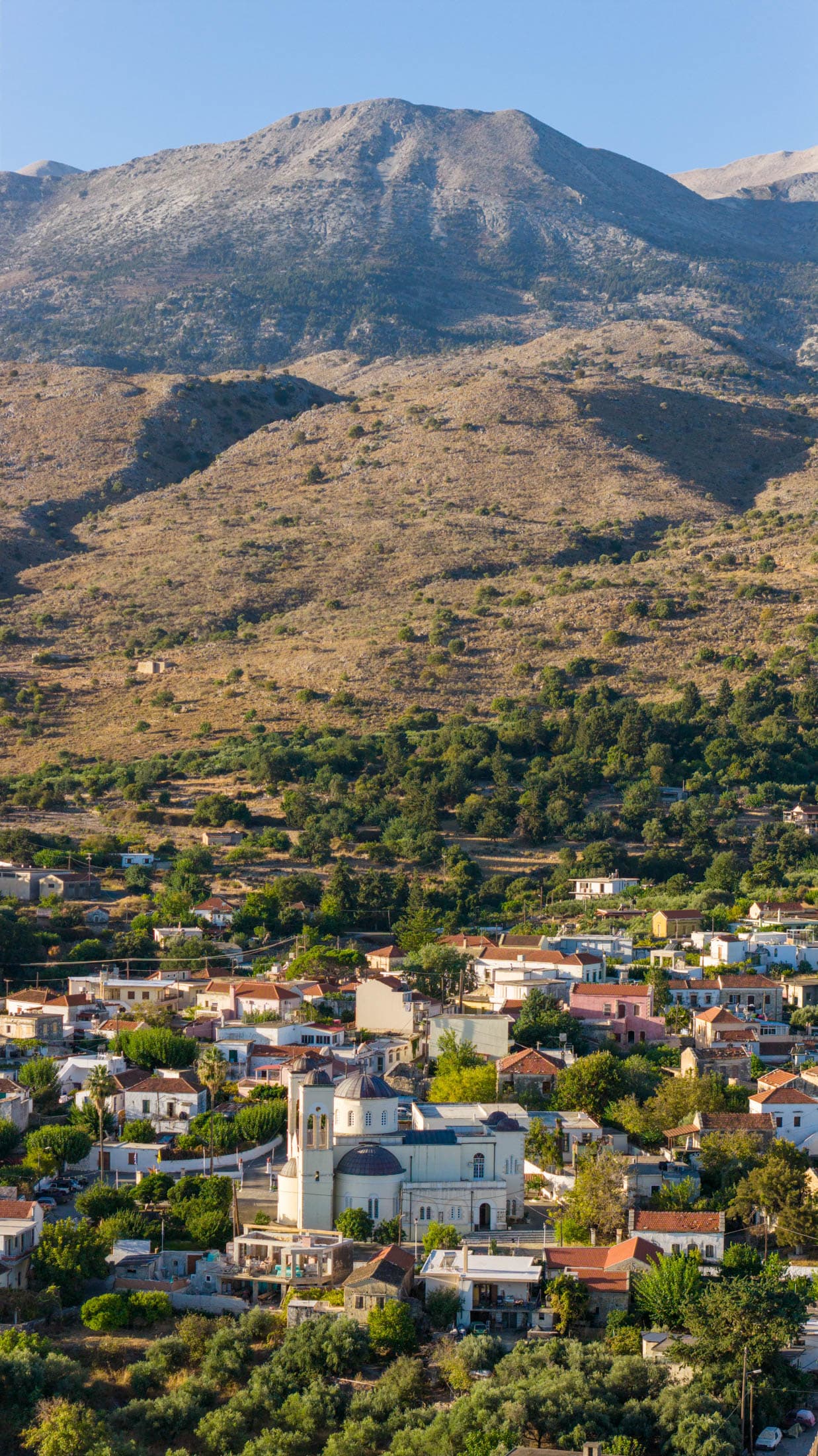 Alt text not provided