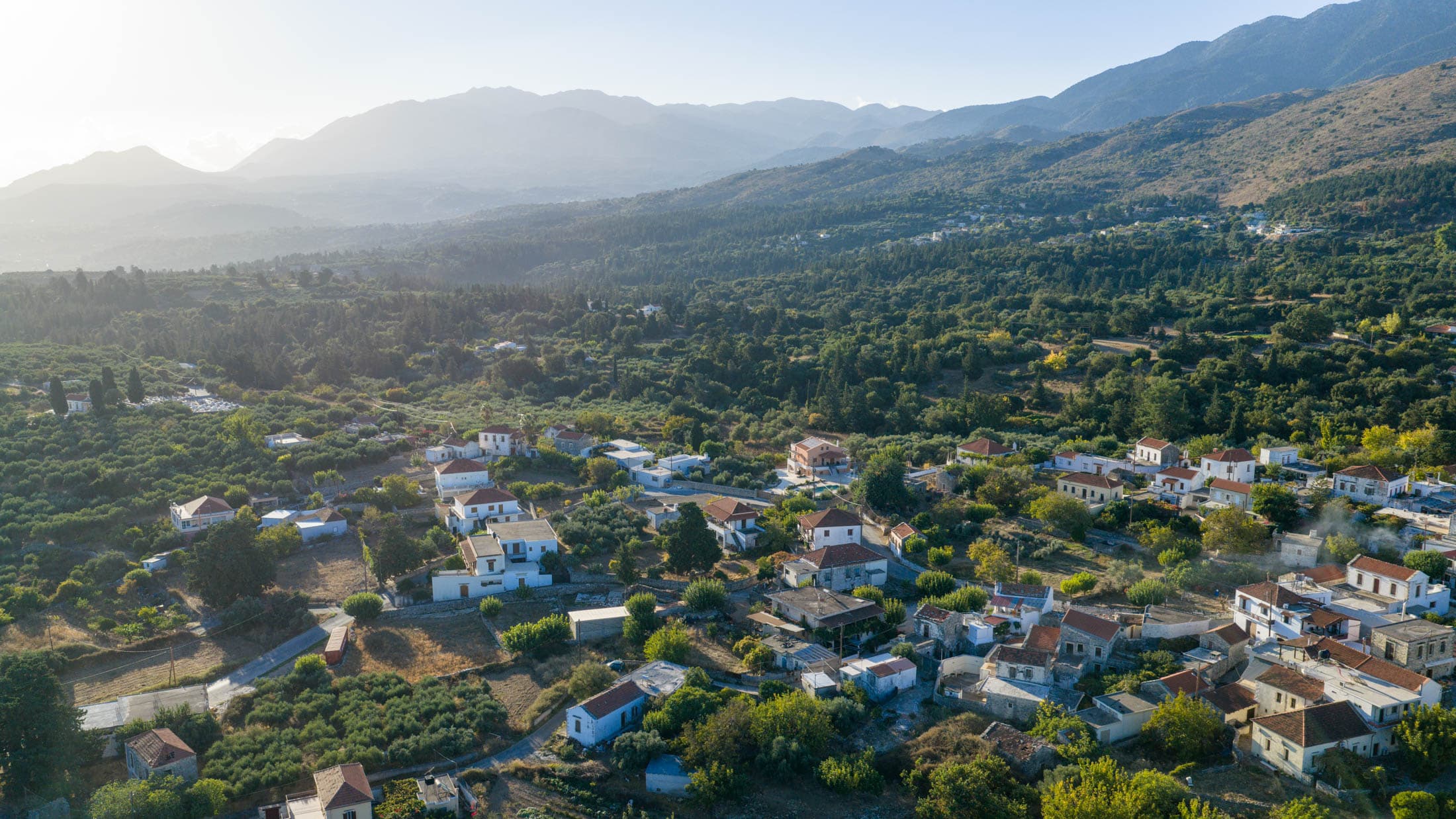 Alt text not provided