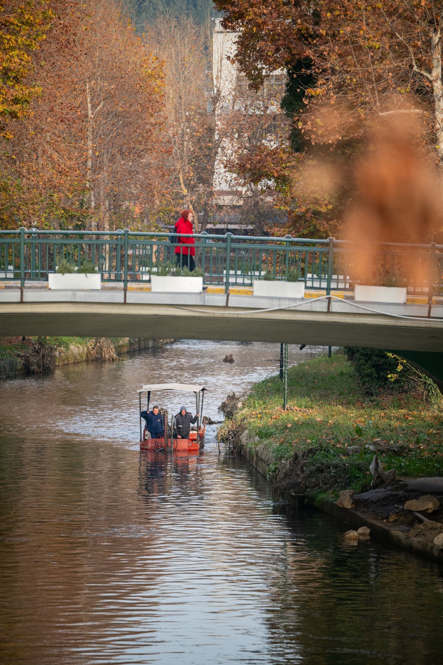 Alt text not provided