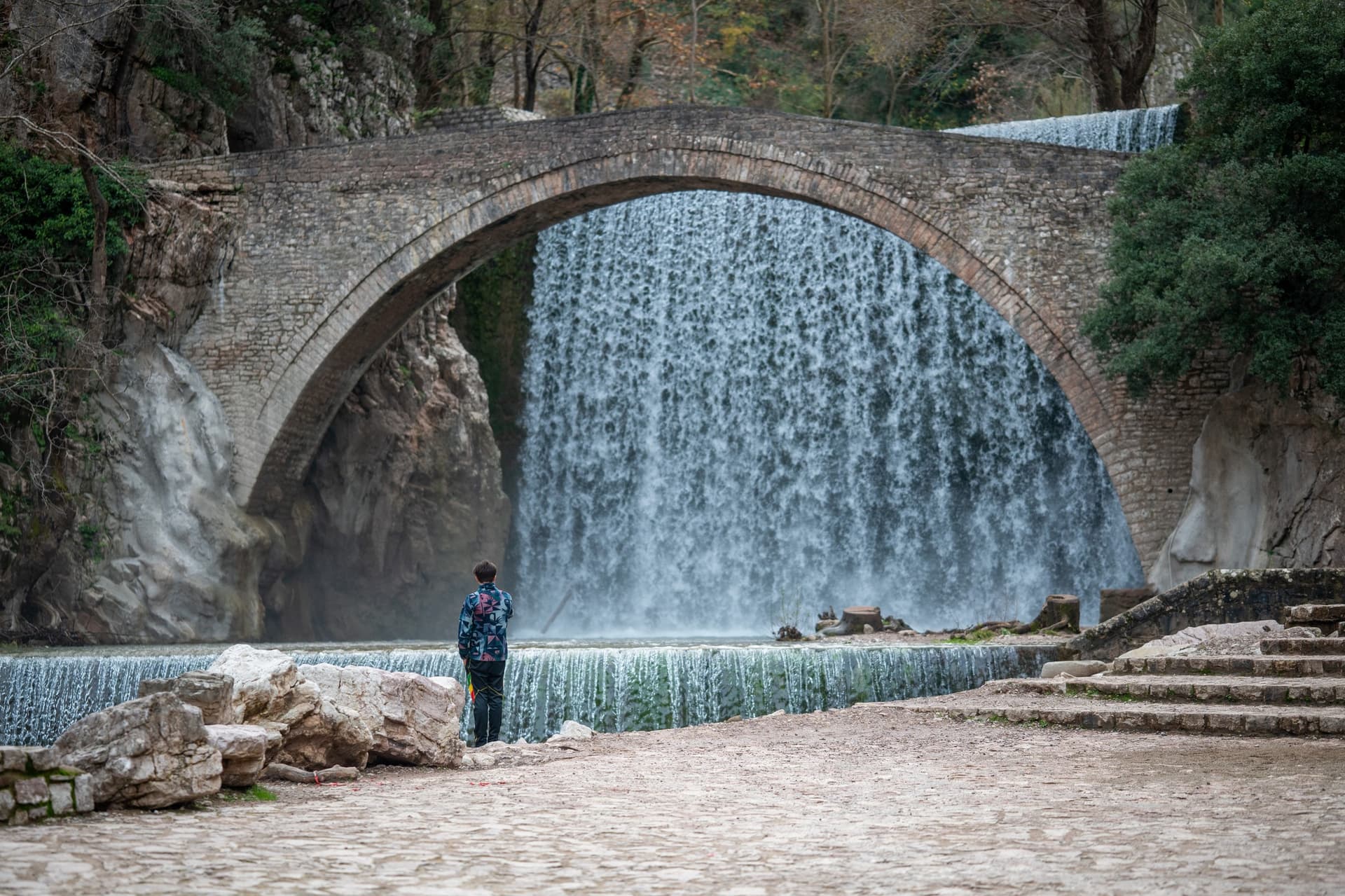 Alt text not provided