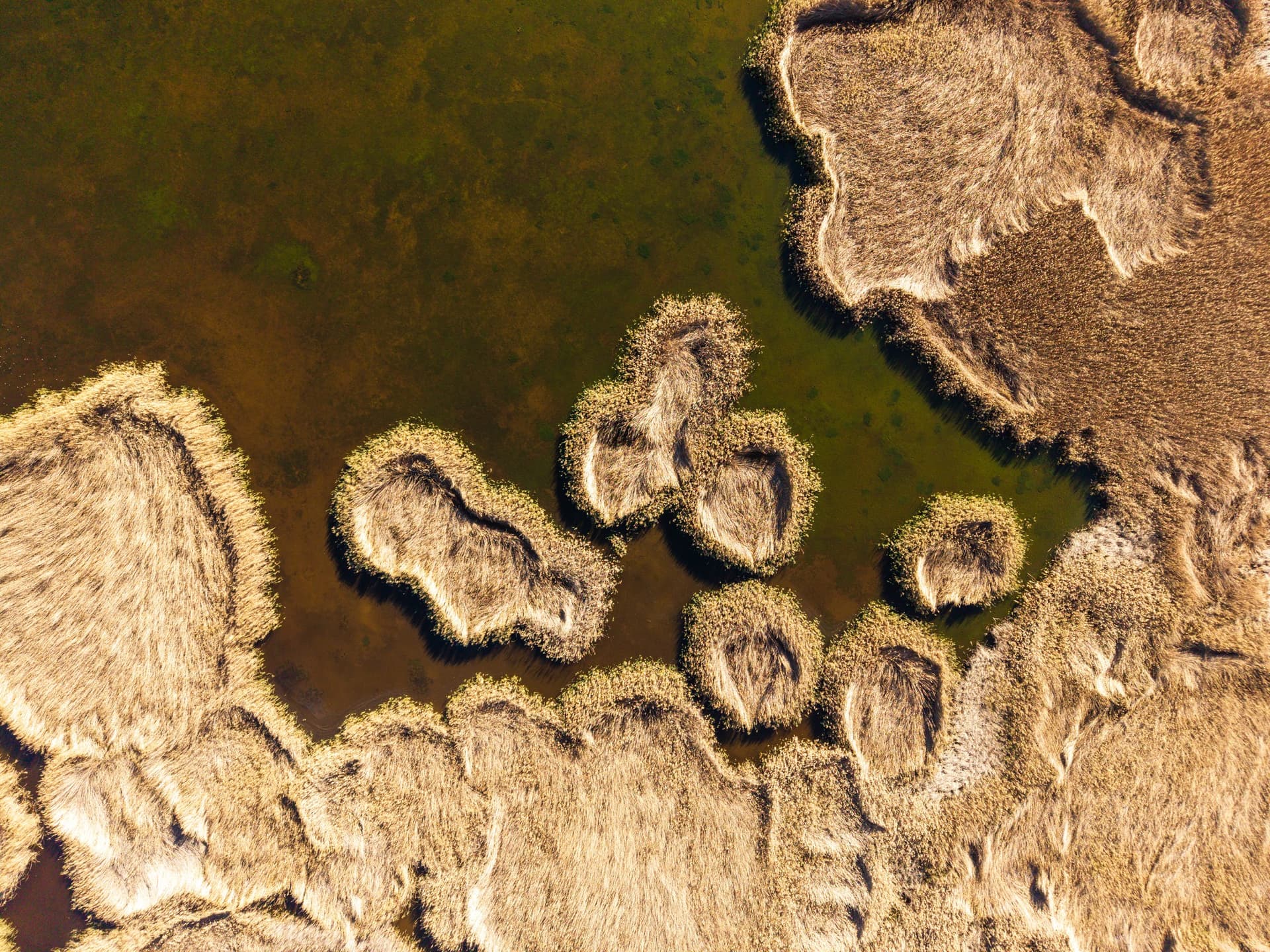 Alt text not provided