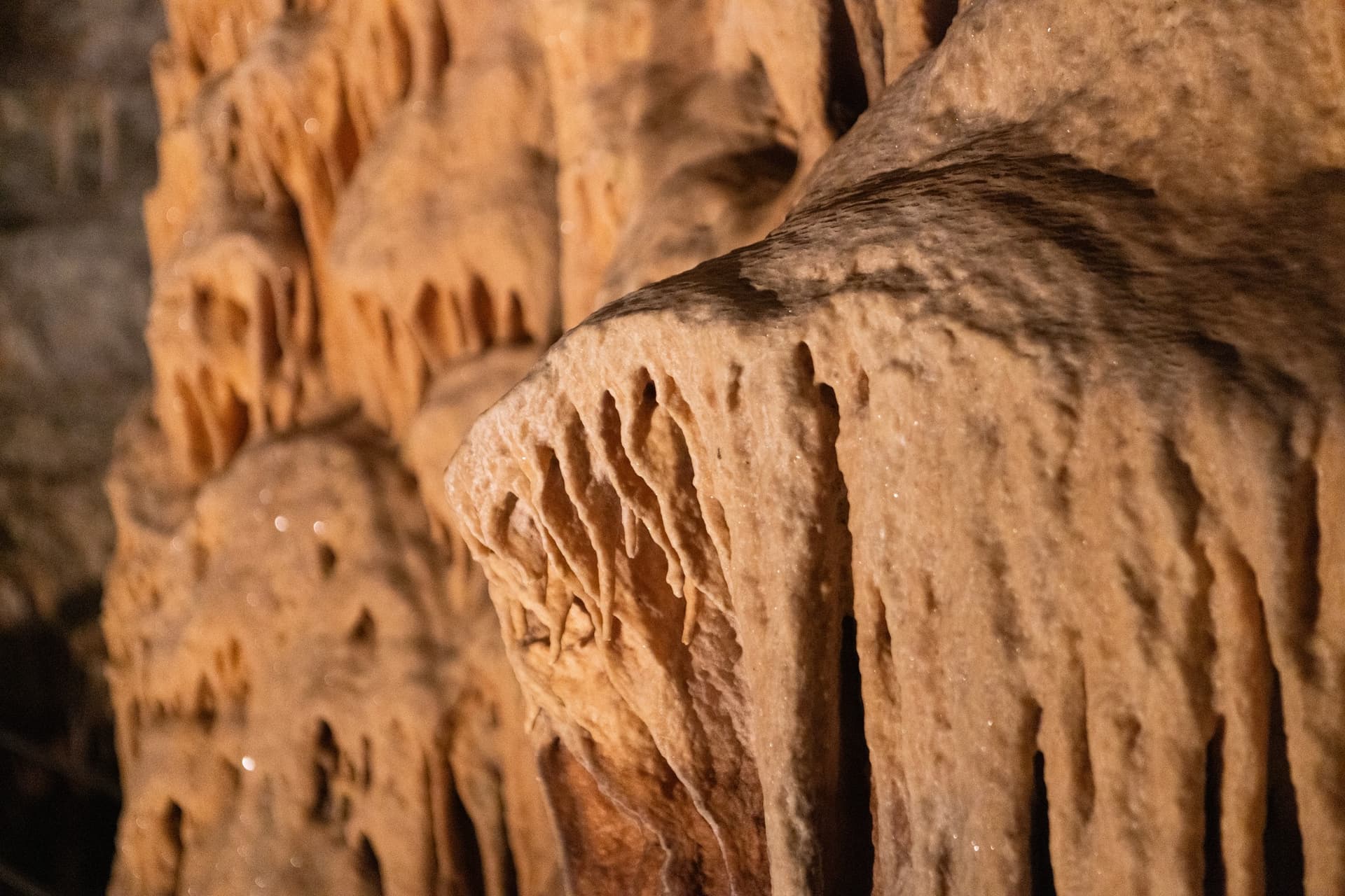 Alt text not provided