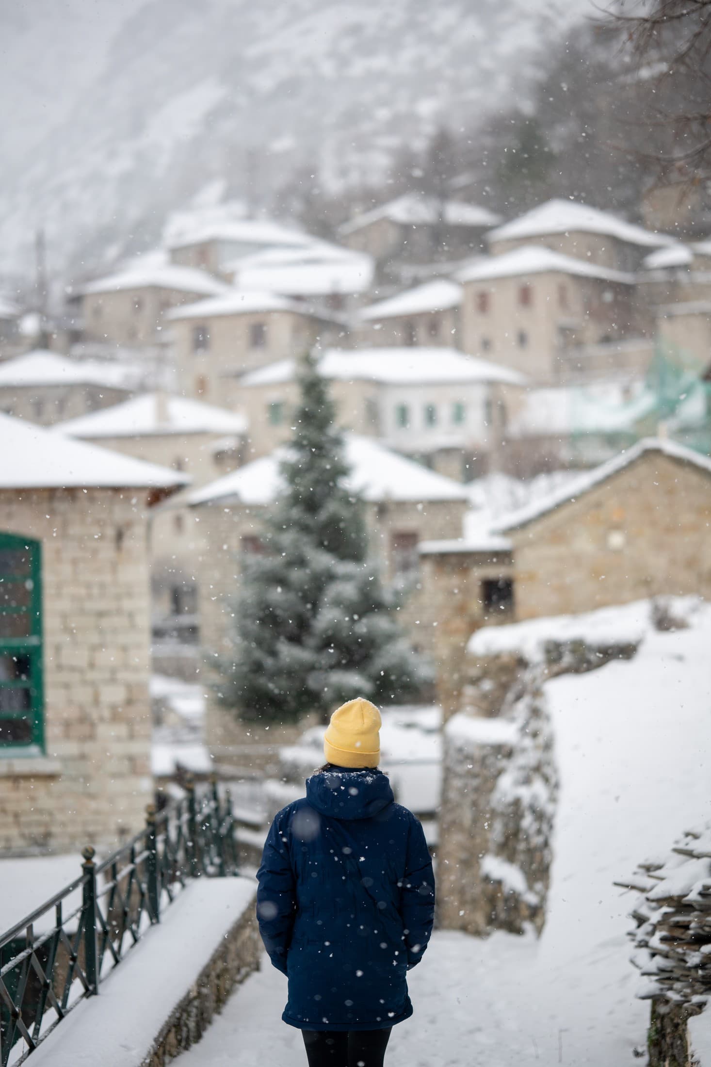 Alt text not provided