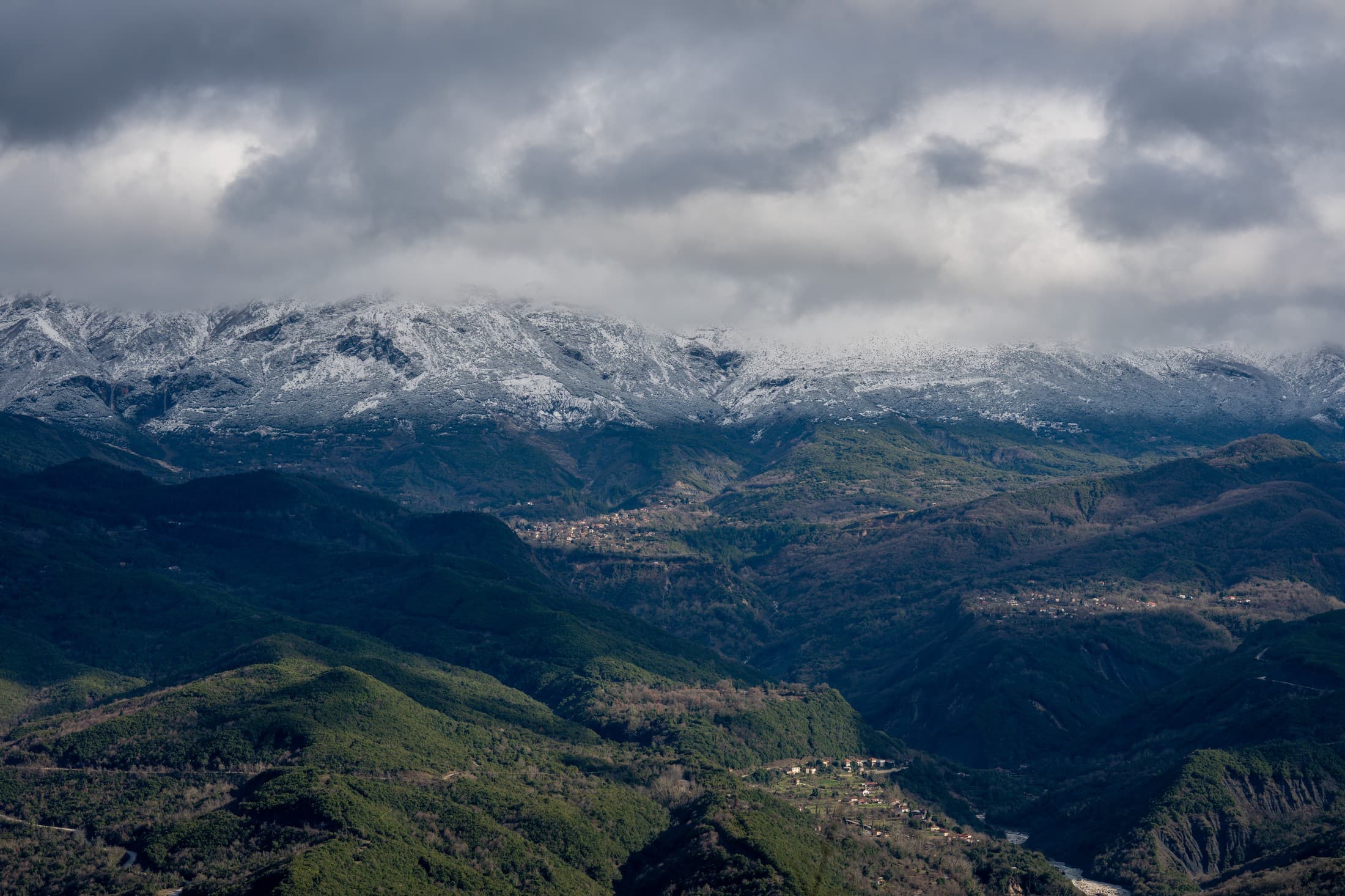 Alt text not provided