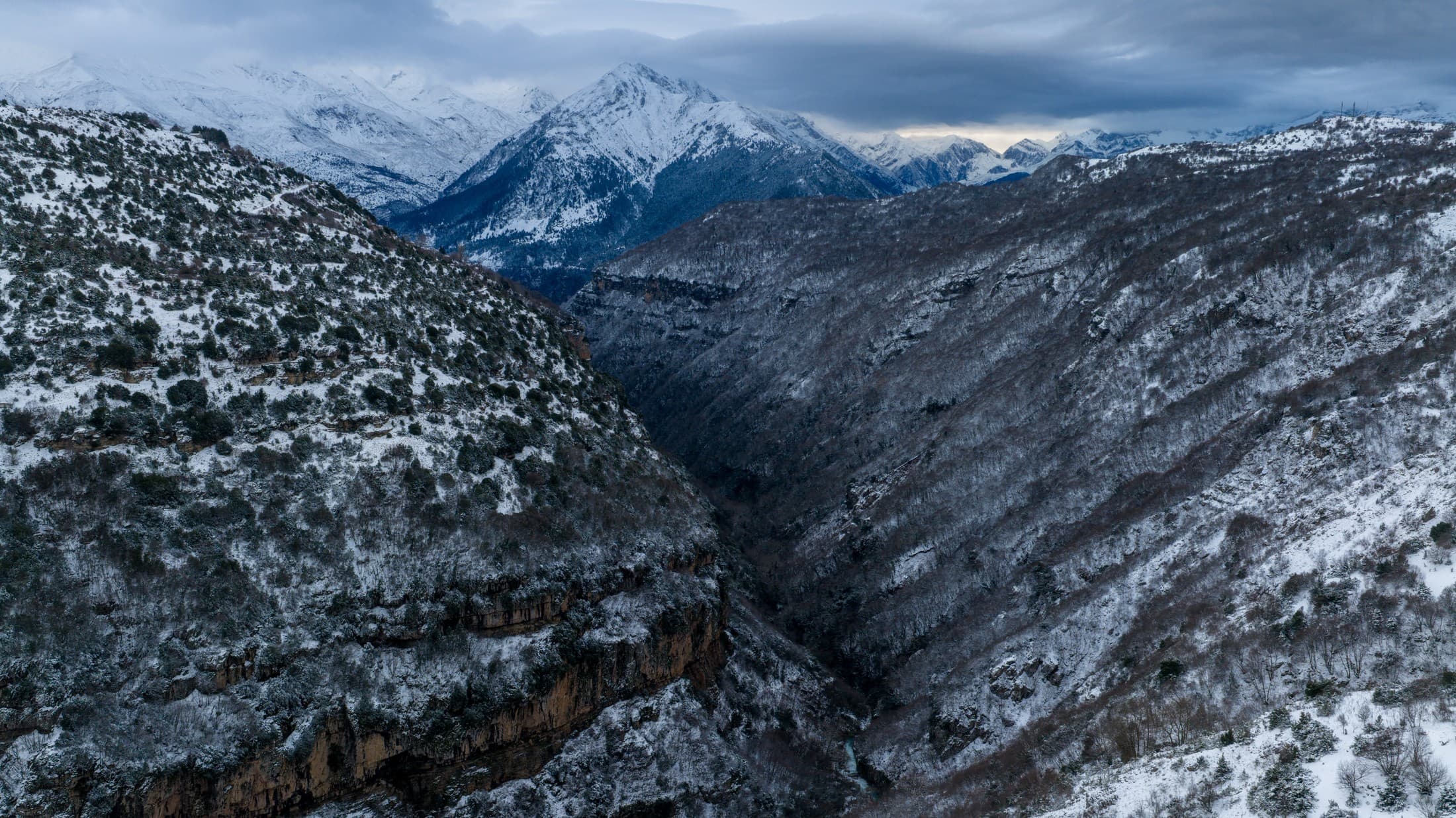 Alt text not provided