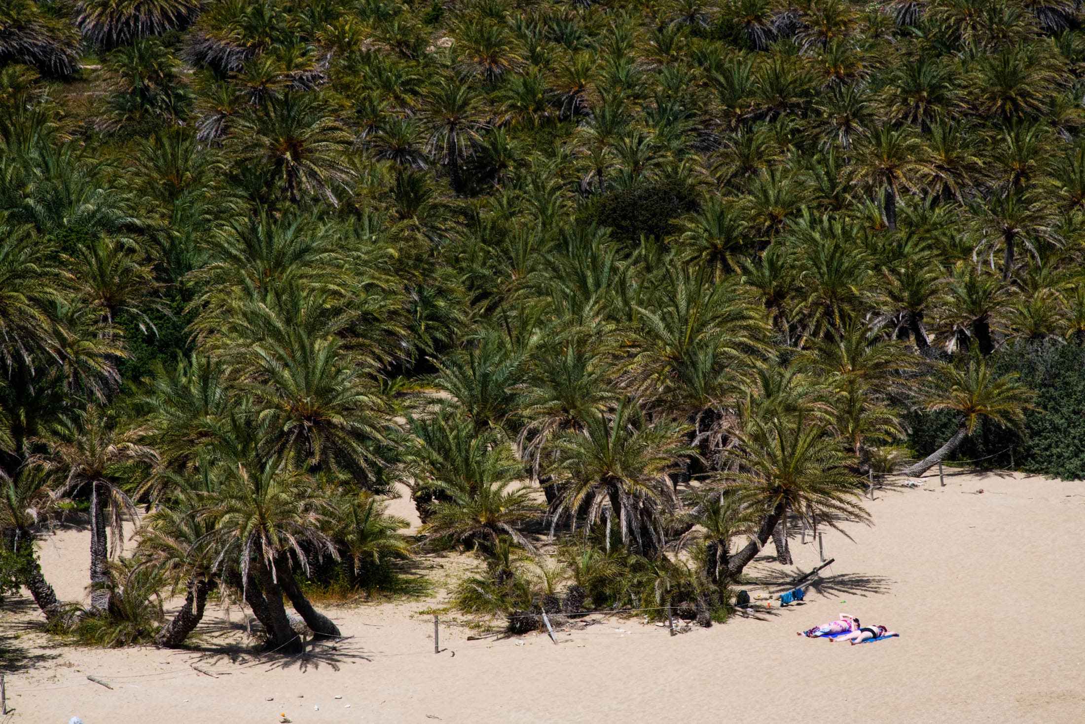 Alt text not provided